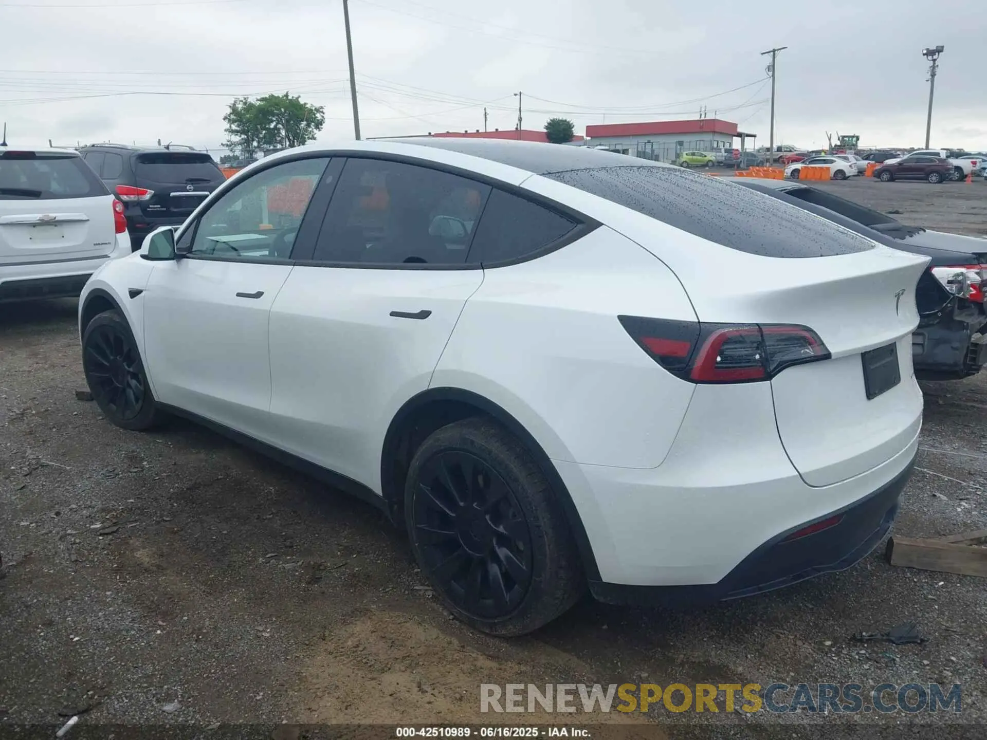 13 Photograph of a damaged car 7SAYGDEE7PF754571 TESLA MODEL Y 2023