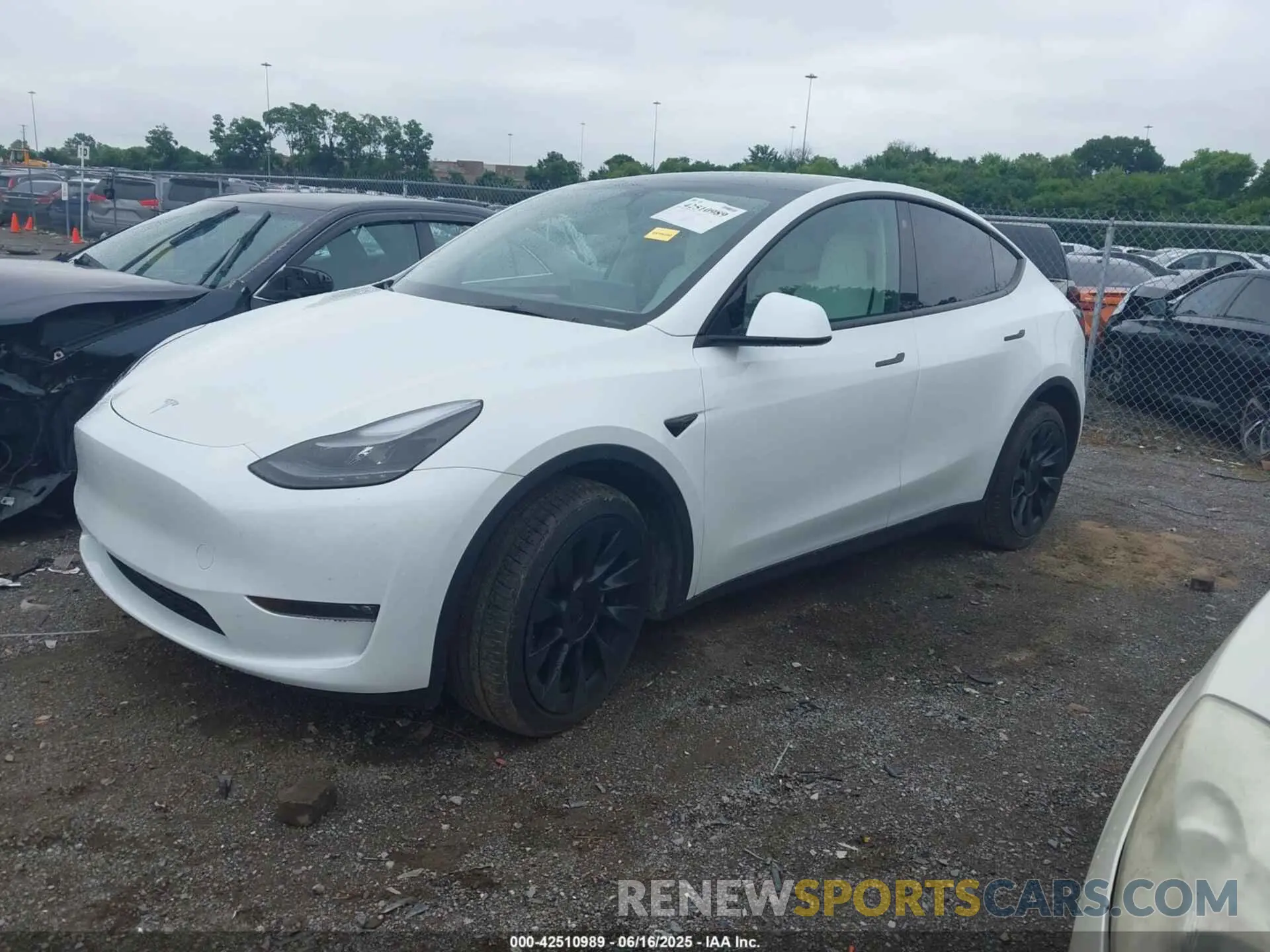 2 Photograph of a damaged car 7SAYGDEE7PF754571 TESLA MODEL Y 2023