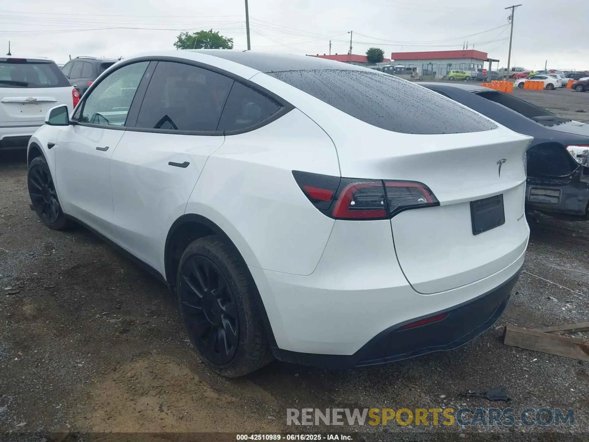 3 Photograph of a damaged car 7SAYGDEE7PF754571 TESLA MODEL Y 2023