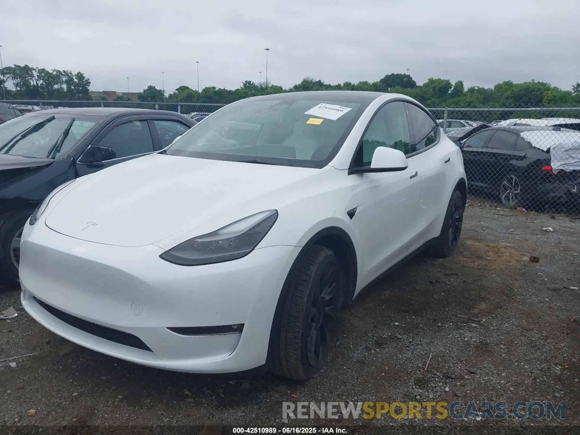 6 Photograph of a damaged car 7SAYGDEE7PF754571 TESLA MODEL Y 2023