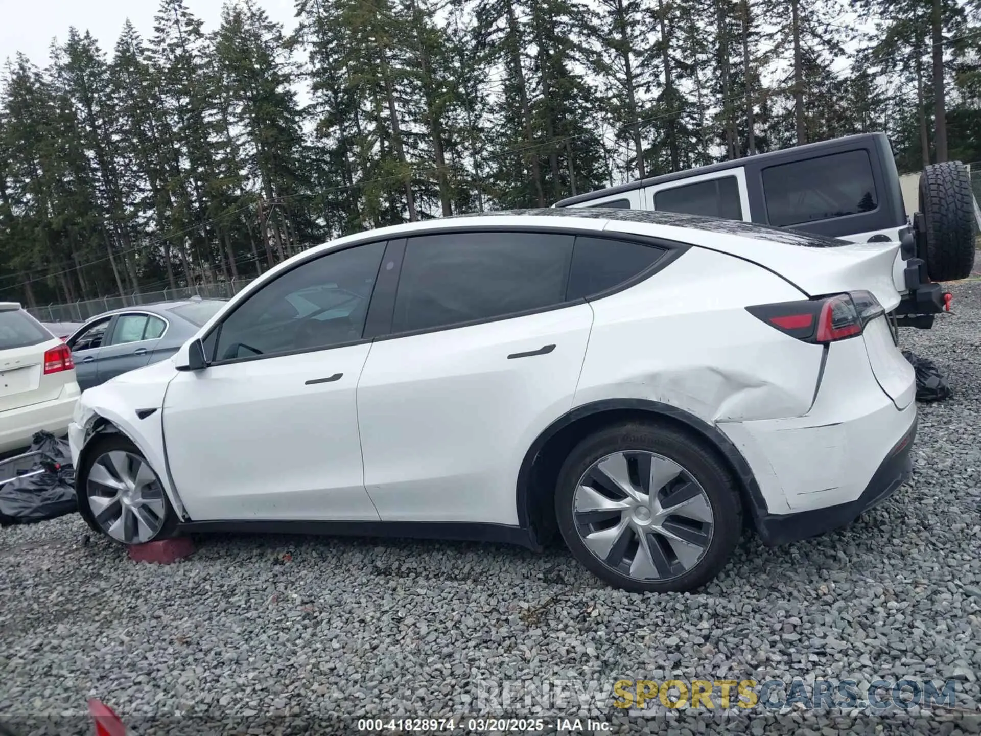 14 Photograph of a damaged car 7SAYGDEE7PF809164 TESLA MODEL Y 2023