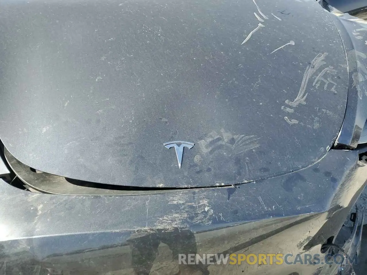 11 Photograph of a damaged car 7SAYGDEE7PF822934 TESLA MODEL Y 2023