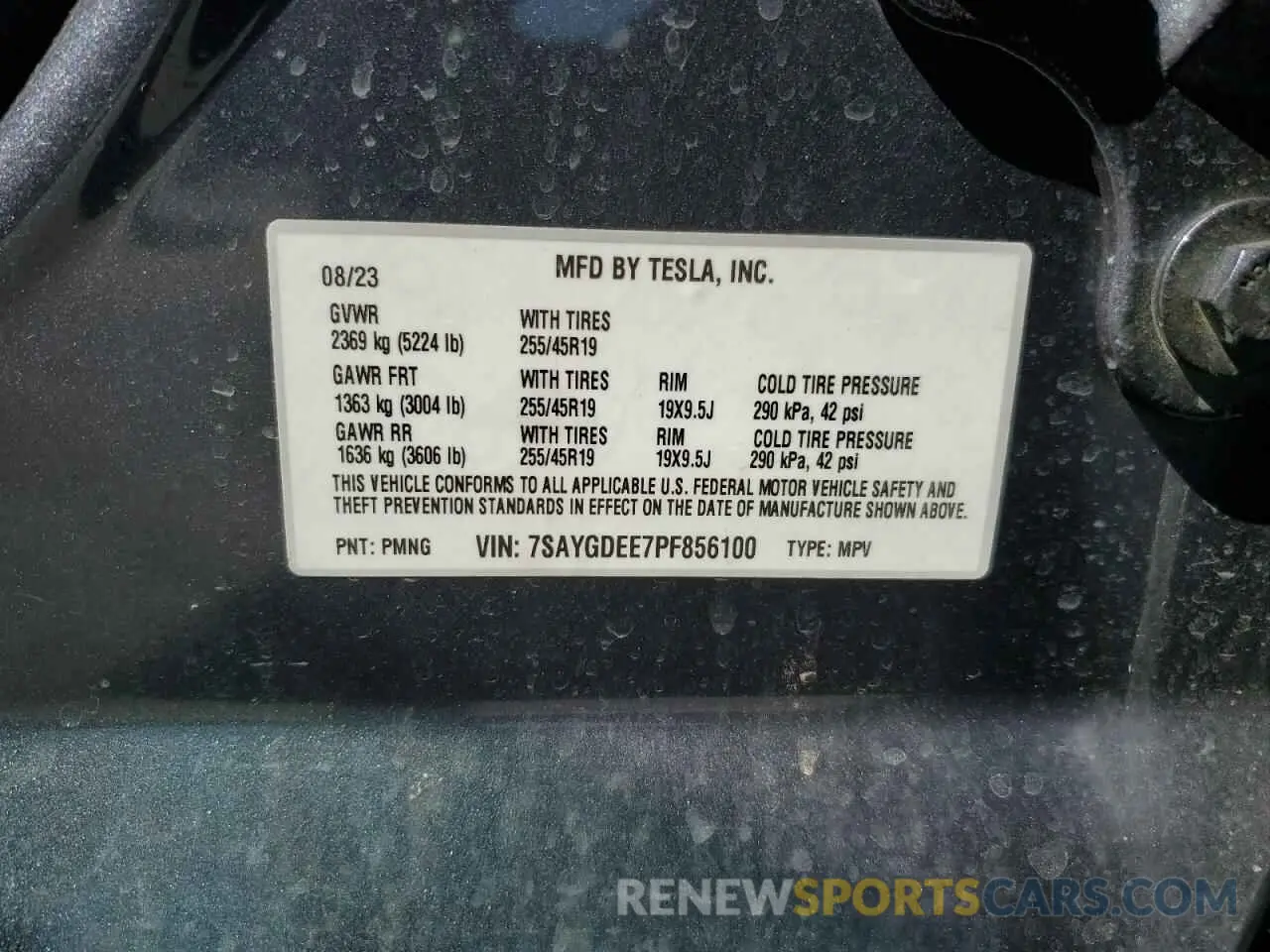 14 Photograph of a damaged car 7SAYGDEE7PF856100 TESLA MODEL Y 2023