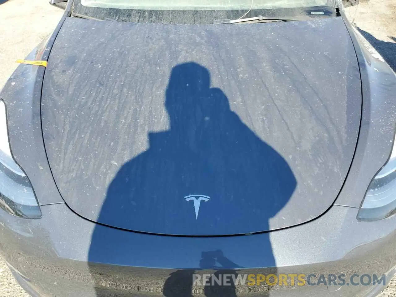 12 Photograph of a damaged car 7SAYGDEE8PA119873 TESLA MODEL Y 2023