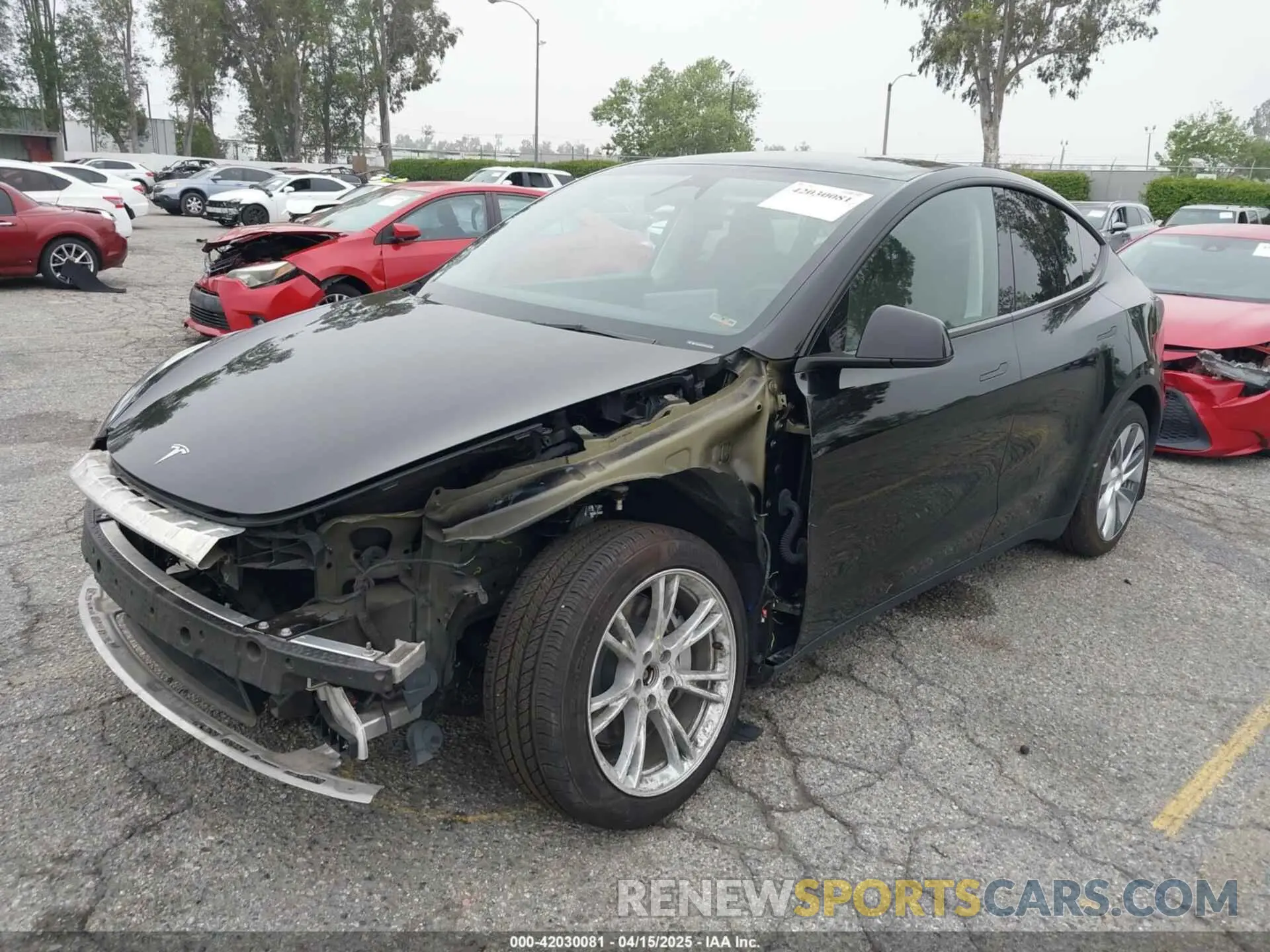 2 Фотография поврежденного автомобиля 7SAYGDEE8PA152338 TESLA MODEL Y 2023