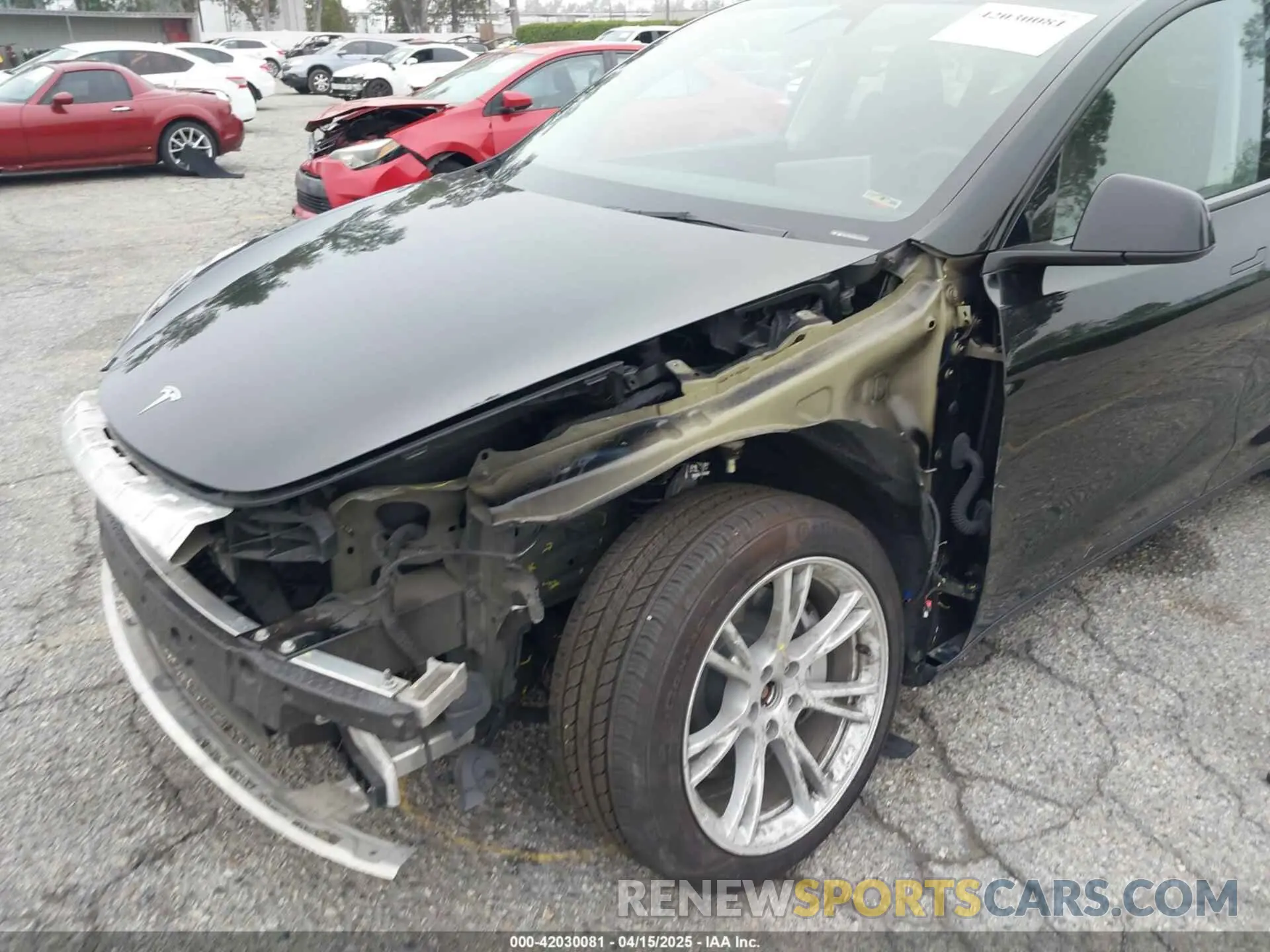6 Фотография поврежденного автомобиля 7SAYGDEE8PA152338 TESLA MODEL Y 2023