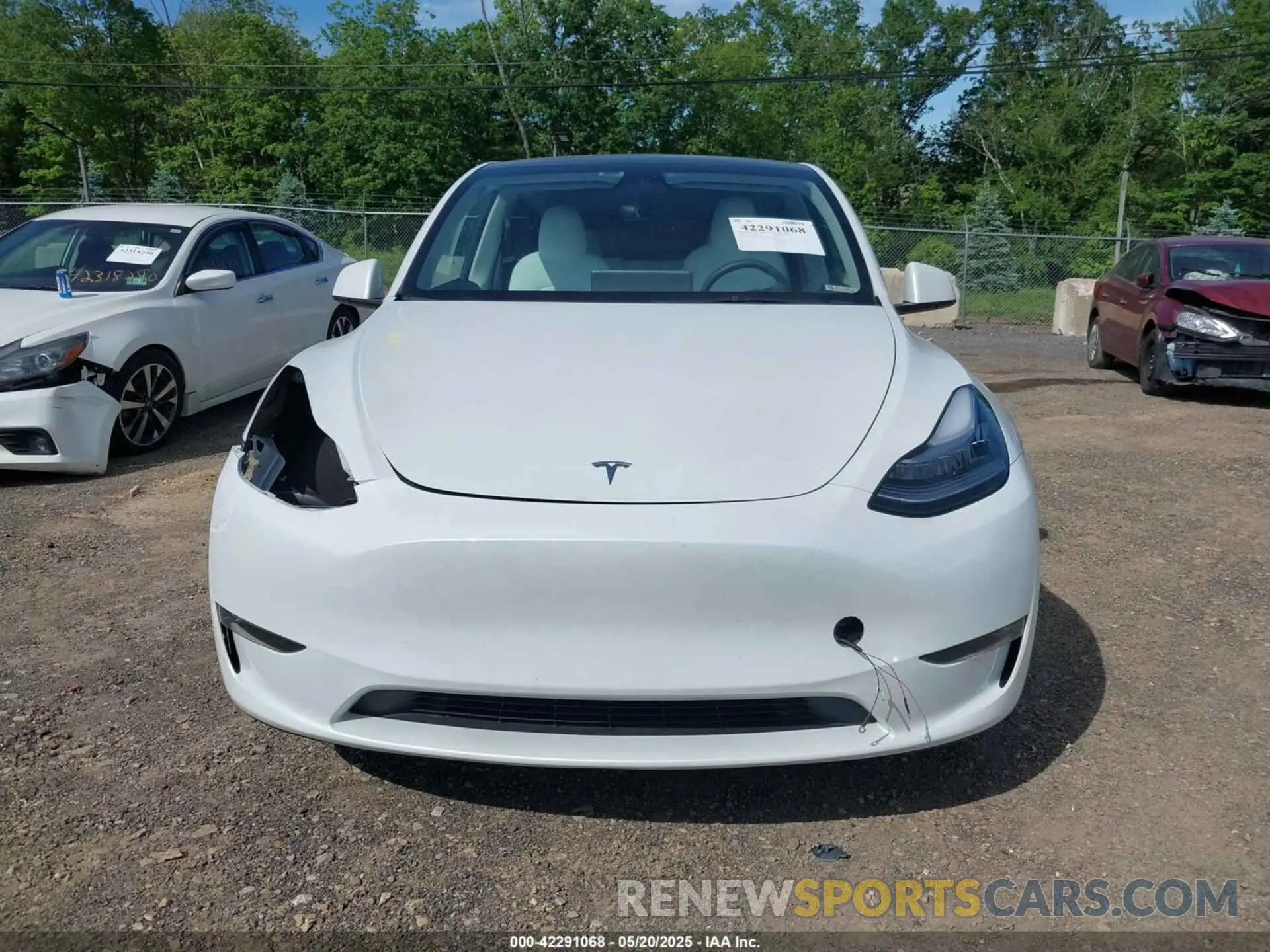 12 Photograph of a damaged car 7SAYGDEE8PF591817 TESLA MODEL Y 2023