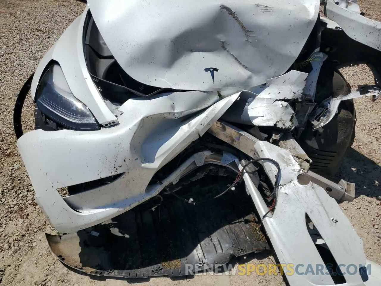 11 Photograph of a damaged car 7SAYGDEE8PF748262 TESLA MODEL Y 2023