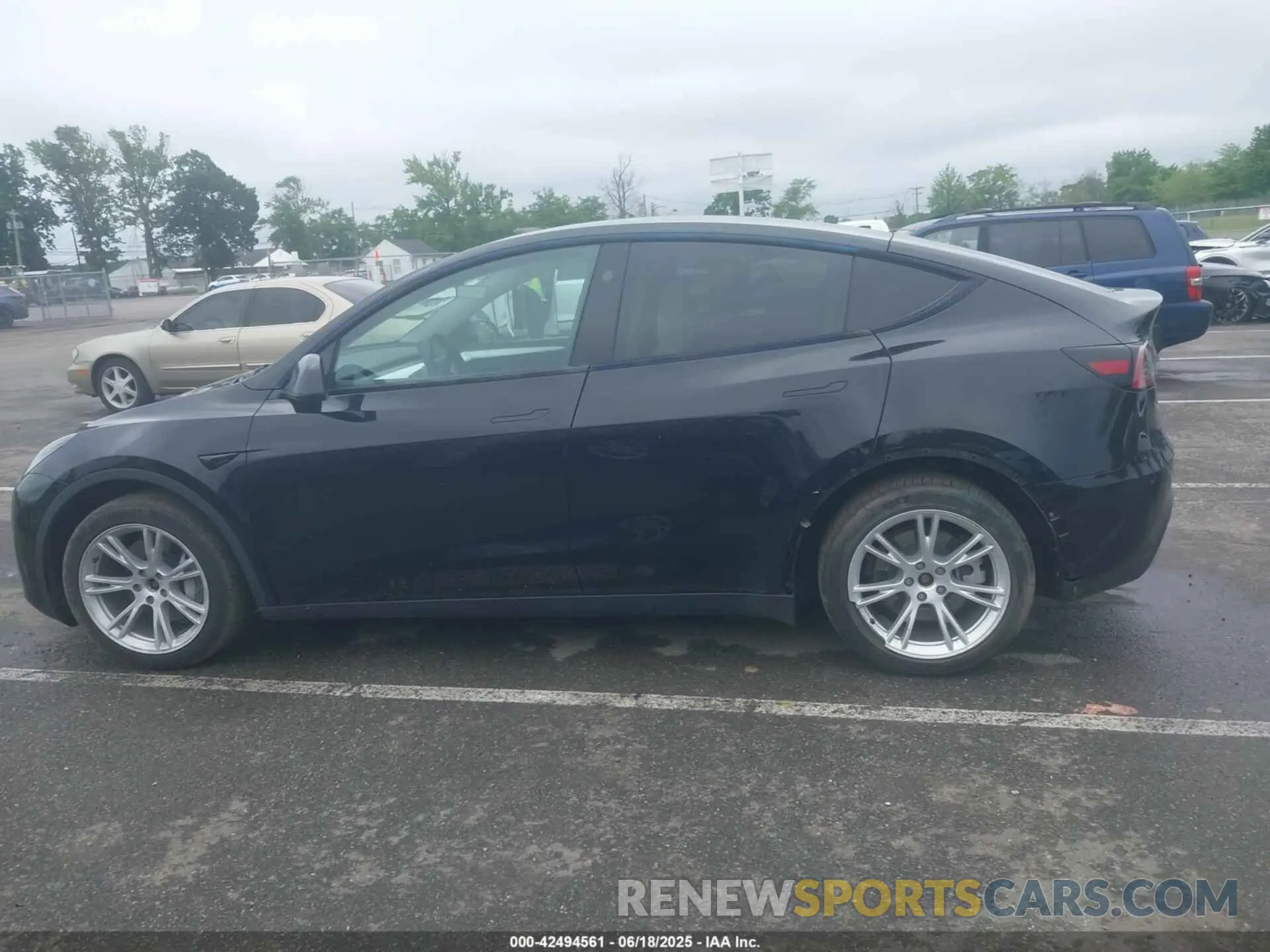 13 Photograph of a damaged car 7SAYGDEE8PF796571 TESLA MODEL Y 2023