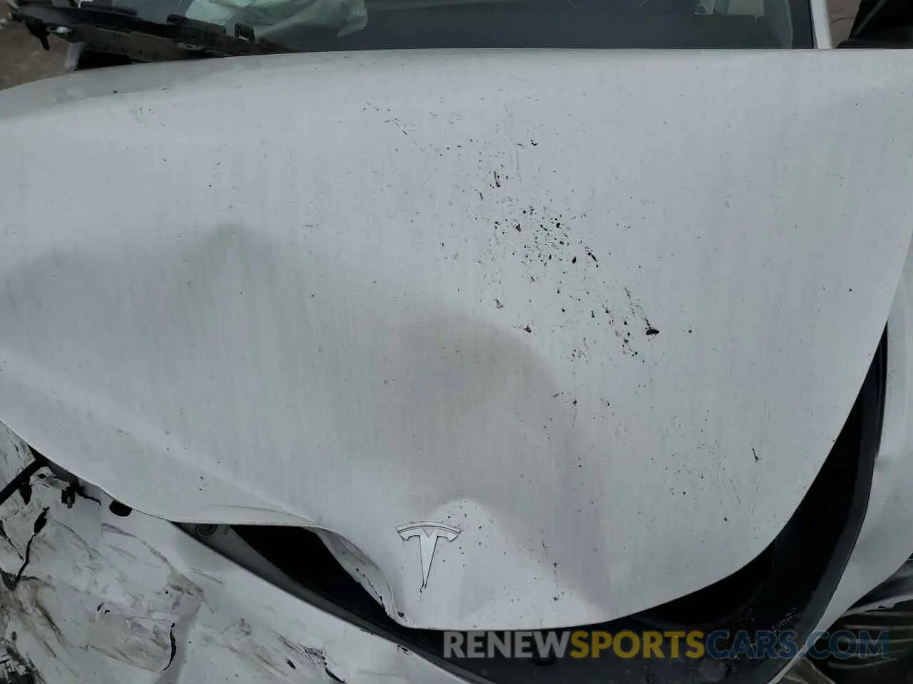 11 Photograph of a damaged car 7SAYGDEE9PA070232 TESLA MODEL Y 2023