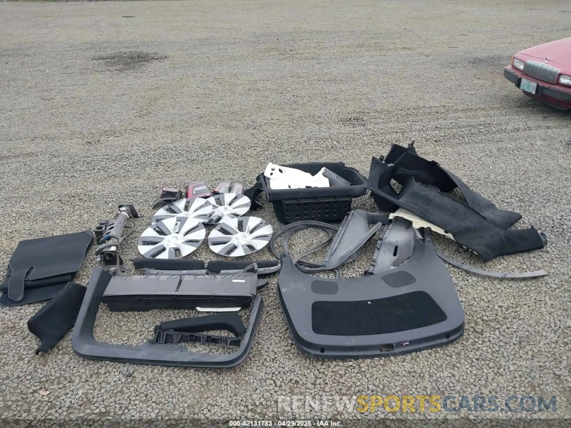 12 Photograph of a damaged car 7SAYGDEE9PA145947 TESLA MODEL Y 2023