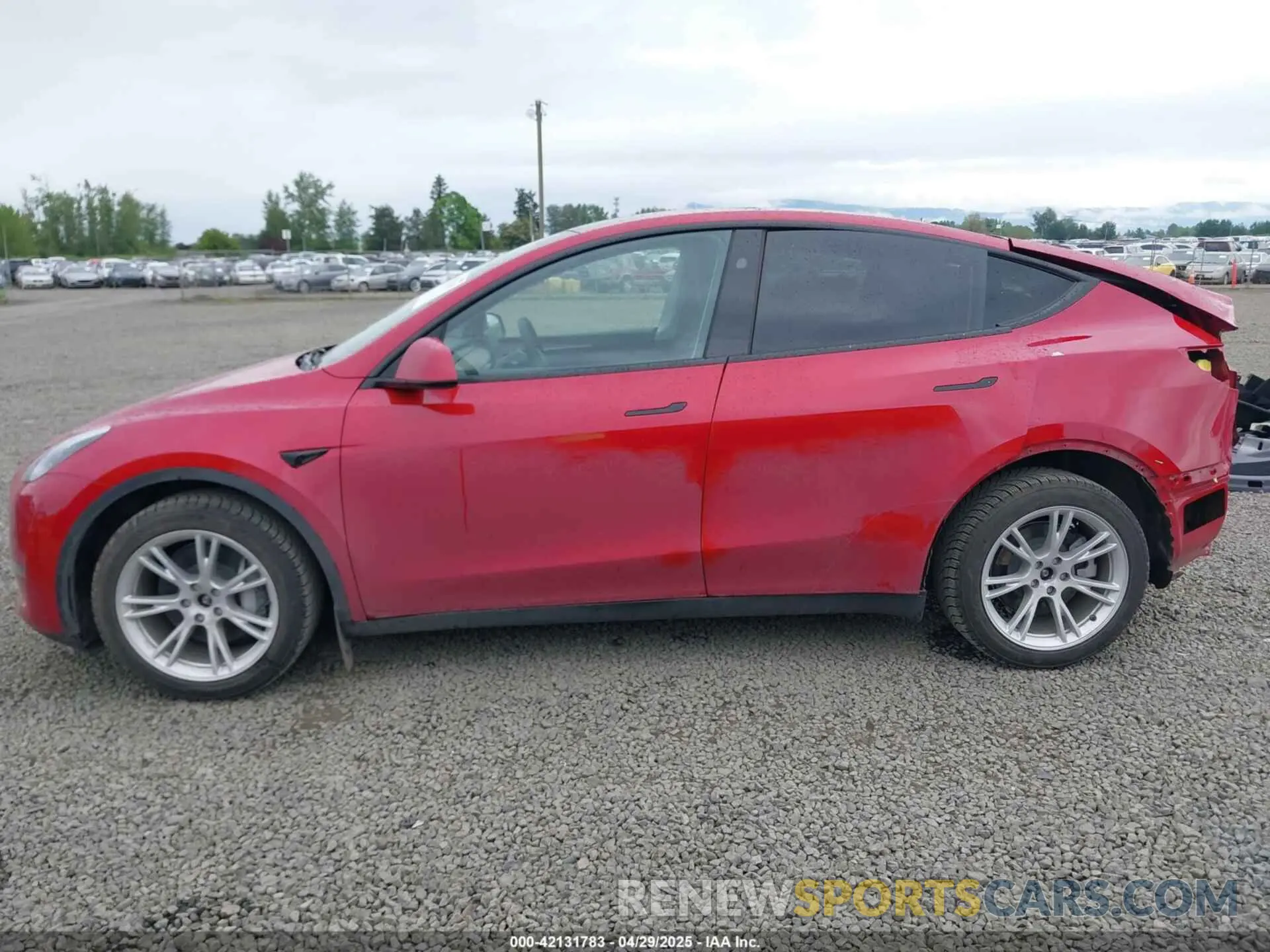 15 Photograph of a damaged car 7SAYGDEE9PA145947 TESLA MODEL Y 2023