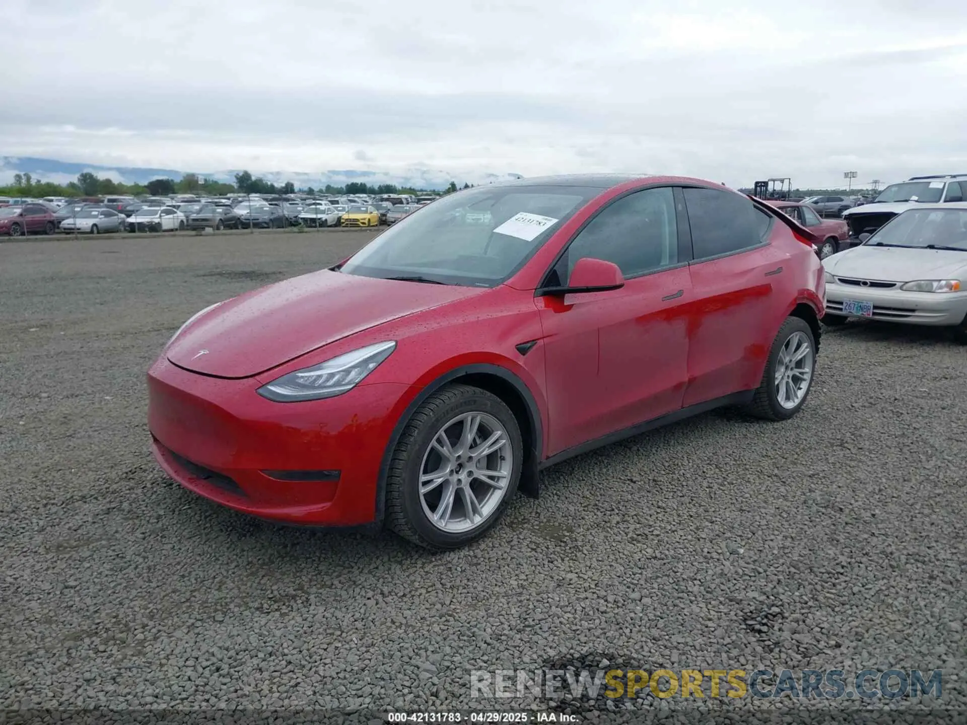 2 Photograph of a damaged car 7SAYGDEE9PA145947 TESLA MODEL Y 2023