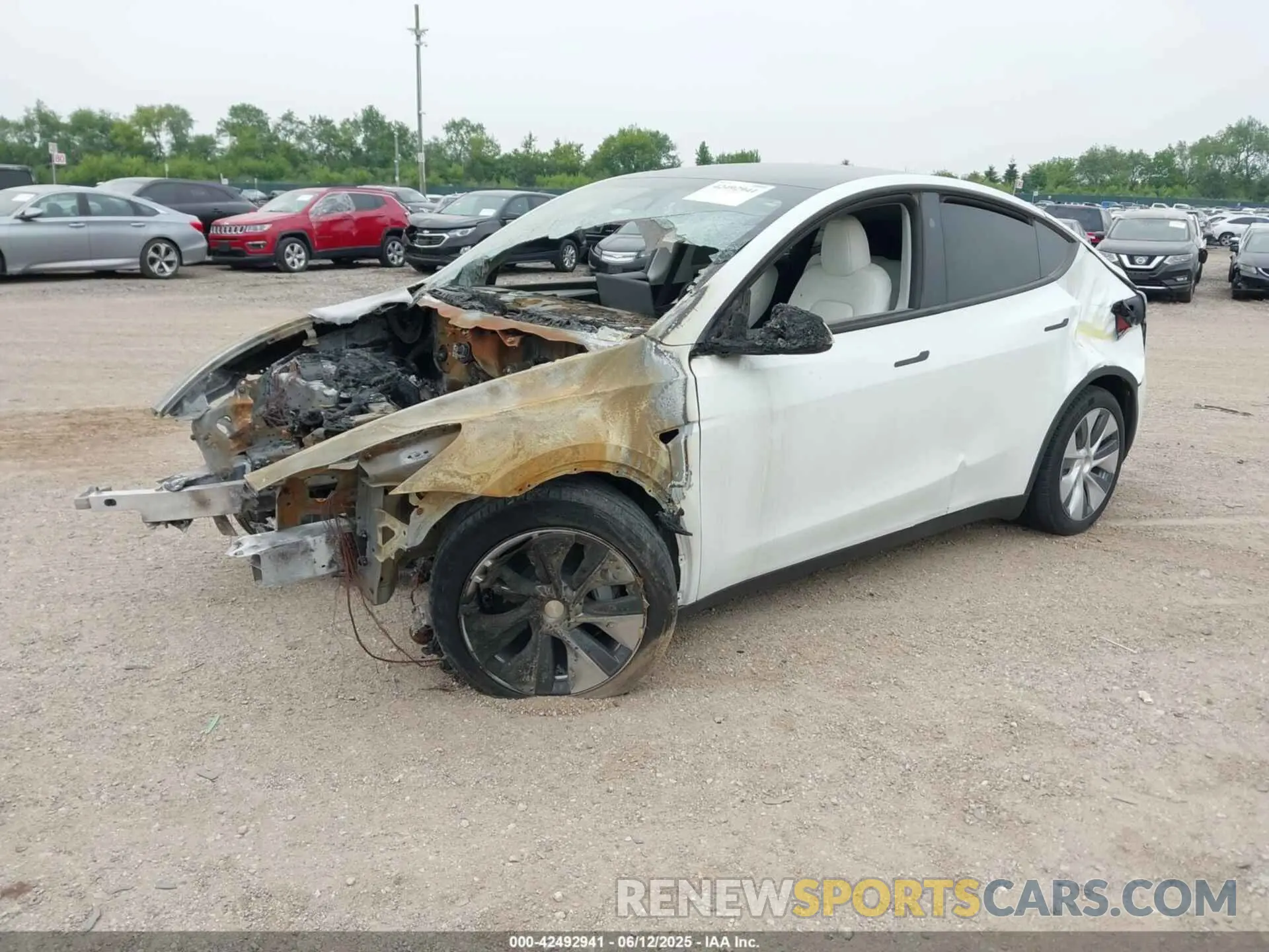 2 Photograph of a damaged car 7SAYGDEE9PA193528 TESLA MODEL Y 2023