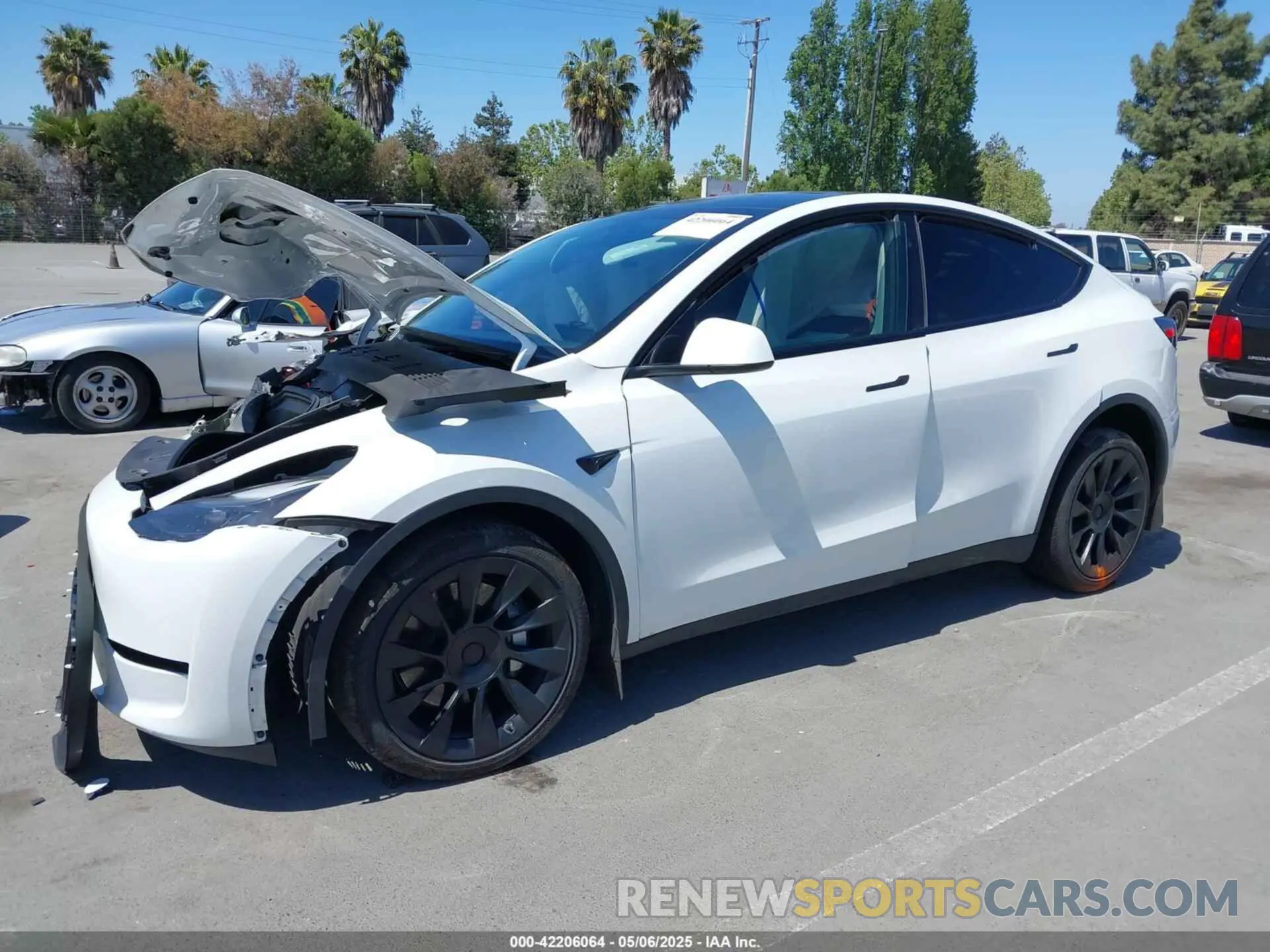 2 Фотография поврежденного автомобиля 7SAYGDEE9PF811580 TESLA MODEL Y 2023