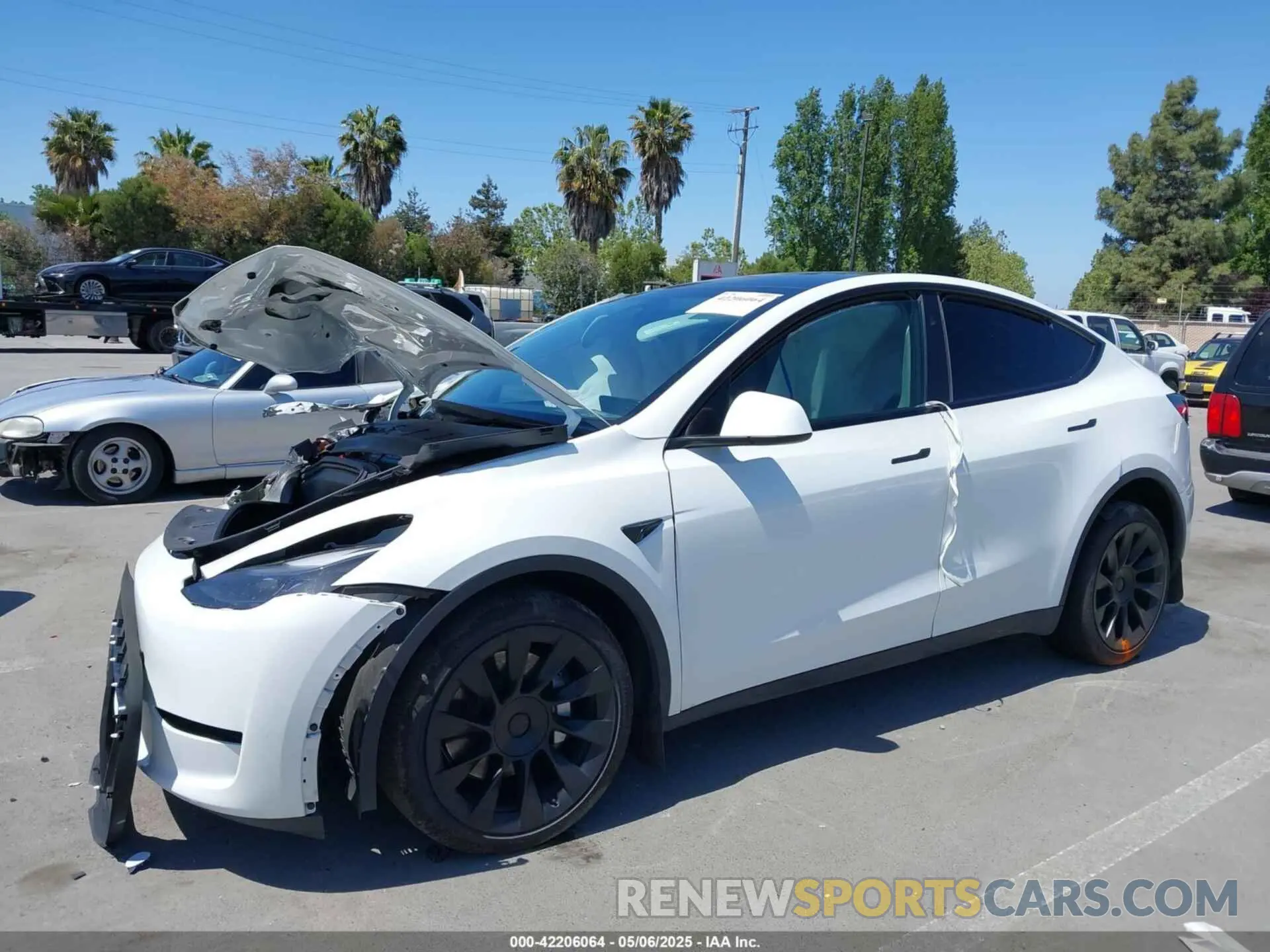 6 Фотография поврежденного автомобиля 7SAYGDEE9PF811580 TESLA MODEL Y 2023