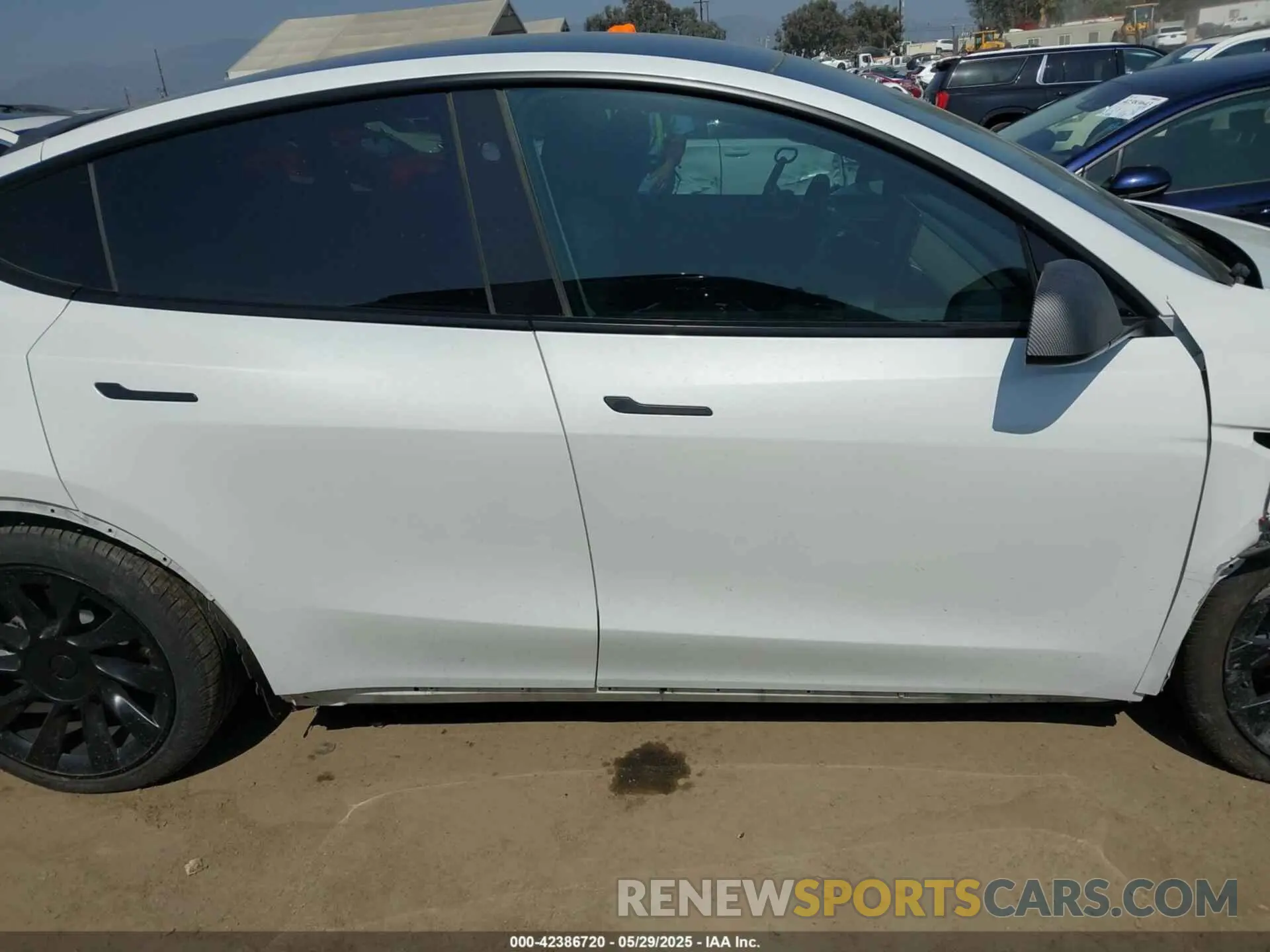13 Photograph of a damaged car 7SAYGDEE9PF887283 TESLA MODEL Y 2023