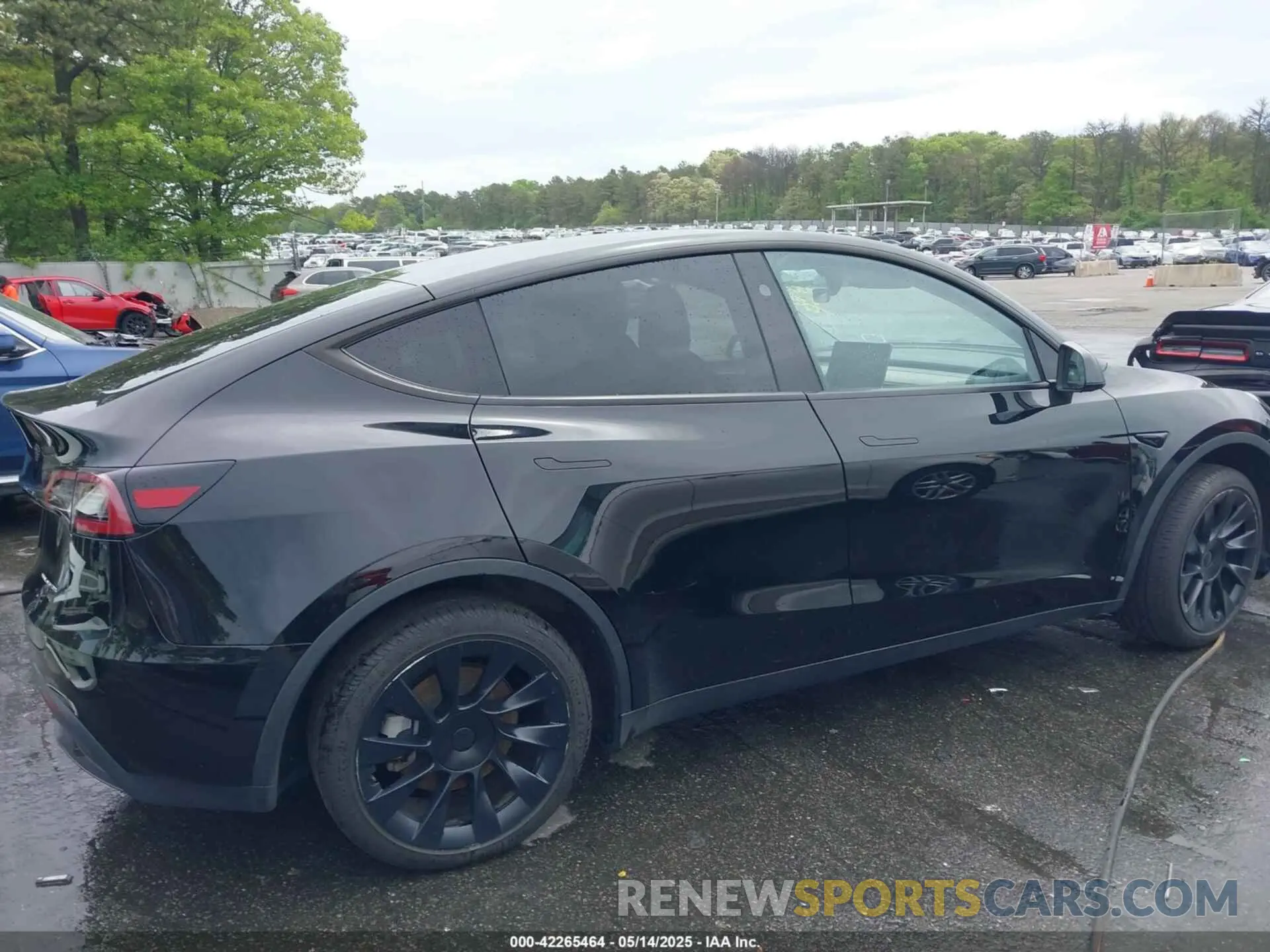 13 Photograph of a damaged car 7SAYGDEEXPA183123 TESLA MODEL Y 2023