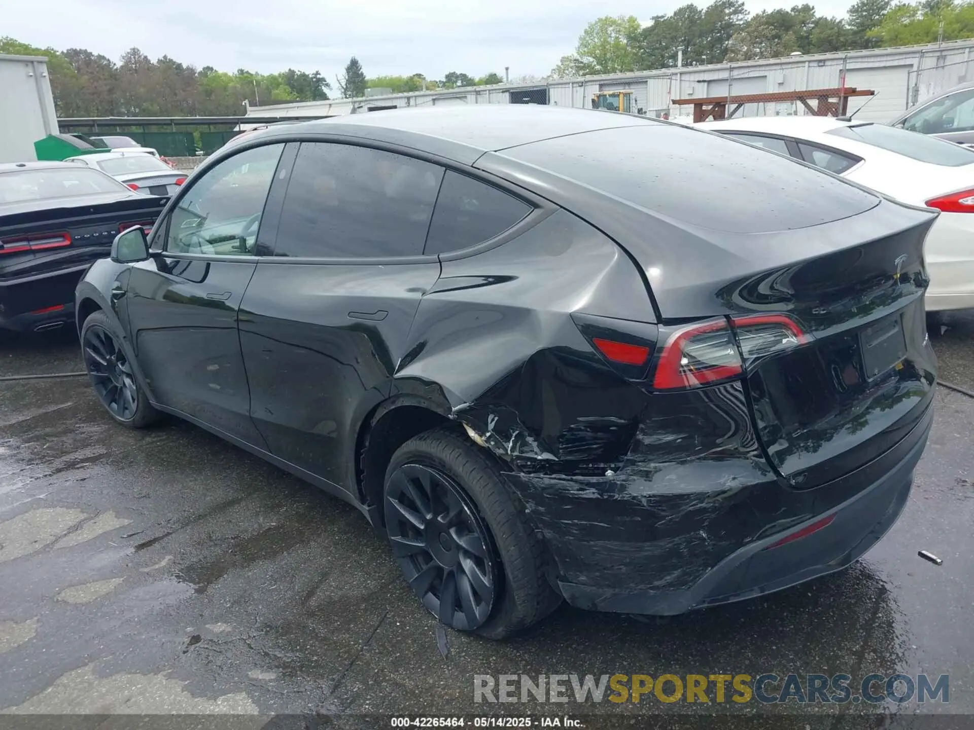 3 Photograph of a damaged car 7SAYGDEEXPA183123 TESLA MODEL Y 2023