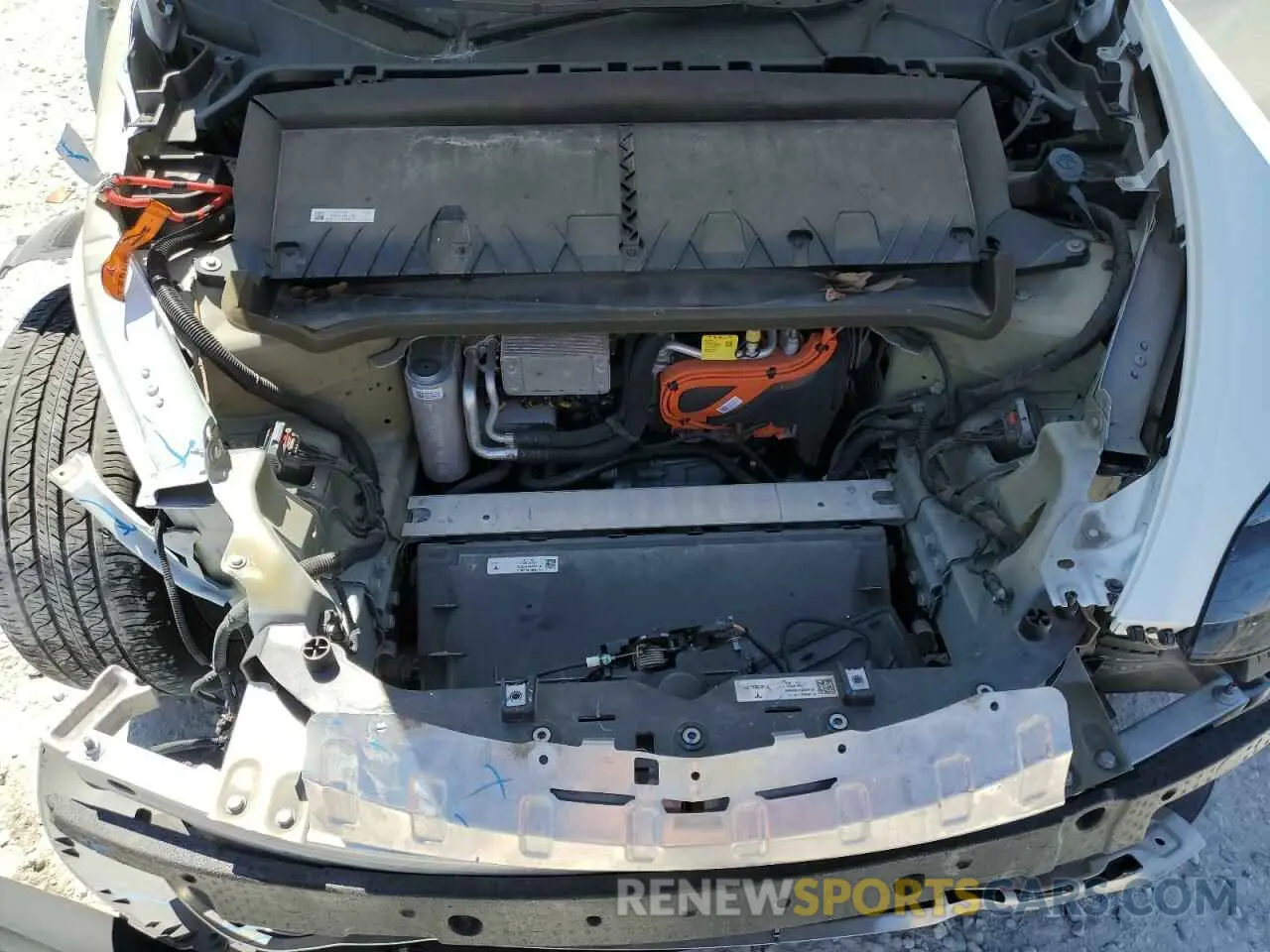 11 Photograph of a damaged car 7SAYGDEEXPF770800 TESLA MODEL Y 2023