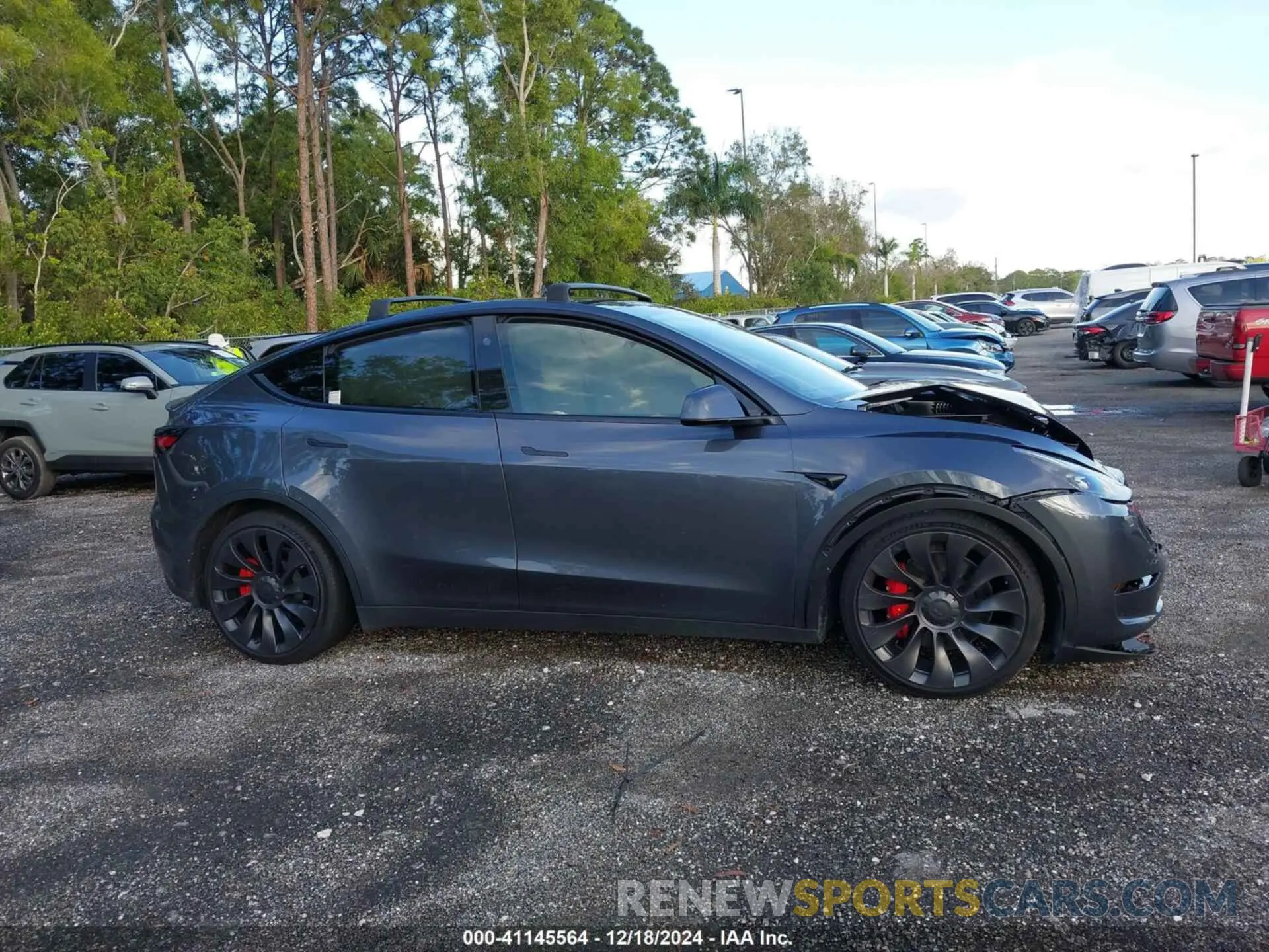 12 Photograph of a damaged car 7SAYGDEF0PF831046 TESLA MODEL Y 2023