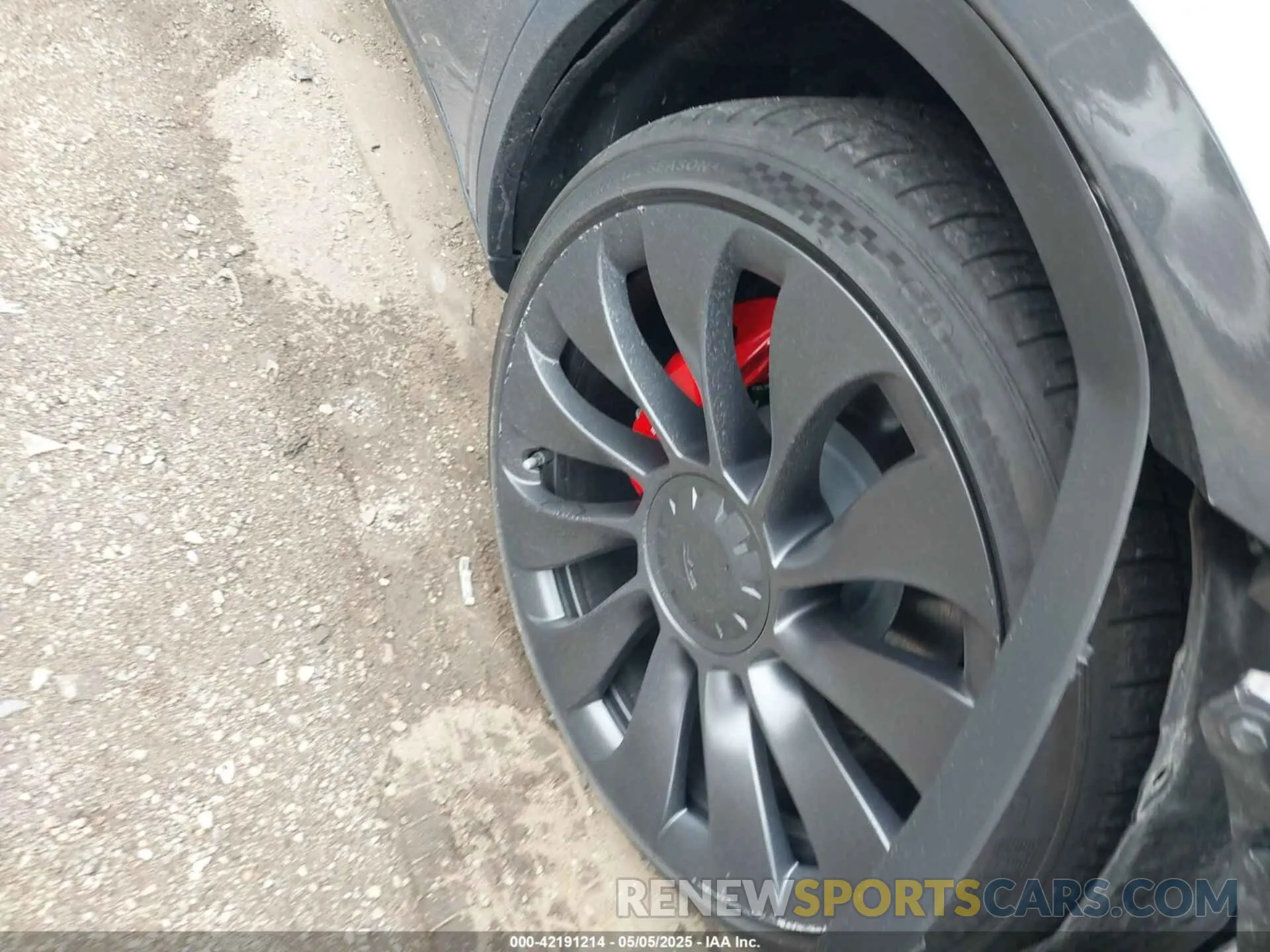 12 Photograph of a damaged car 7SAYGDEF1PF838247 TESLA MODEL Y 2023