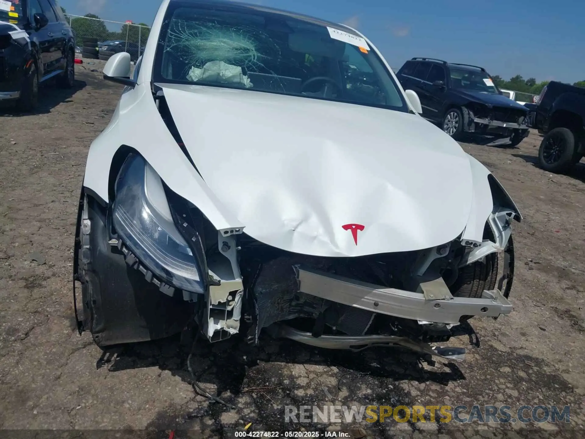 12 Photograph of a damaged car 7SAYGDEF2PF707151 TESLA MODEL Y 2023