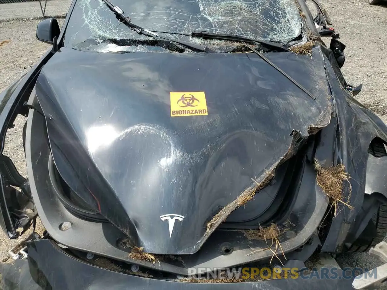 11 Photograph of a damaged car 7SAYGDEF5PF903519 TESLA MODEL Y 2023