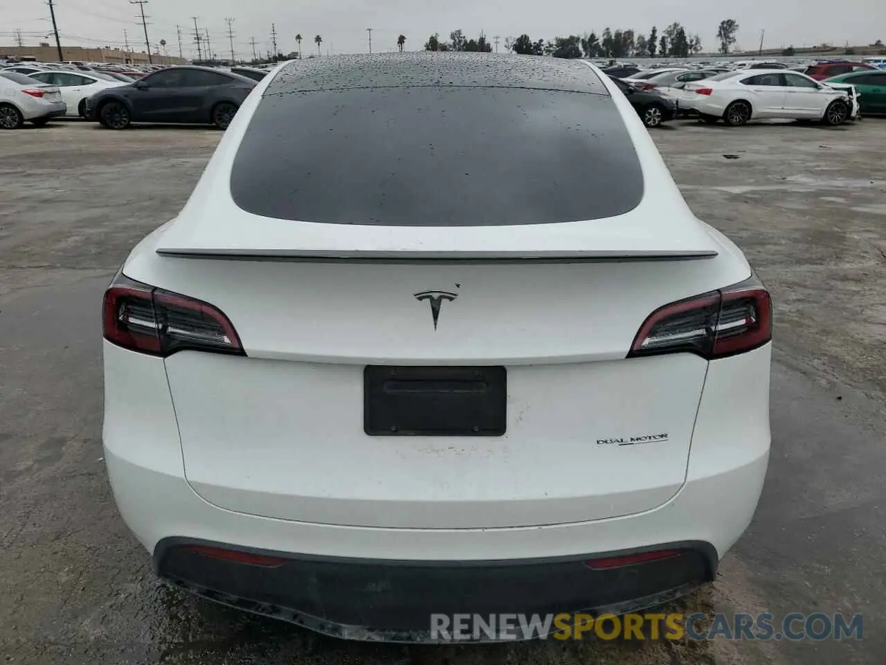 6 Photograph of a damaged car 7SAYGDEF7PF602959 TESLA MODEL Y 2023