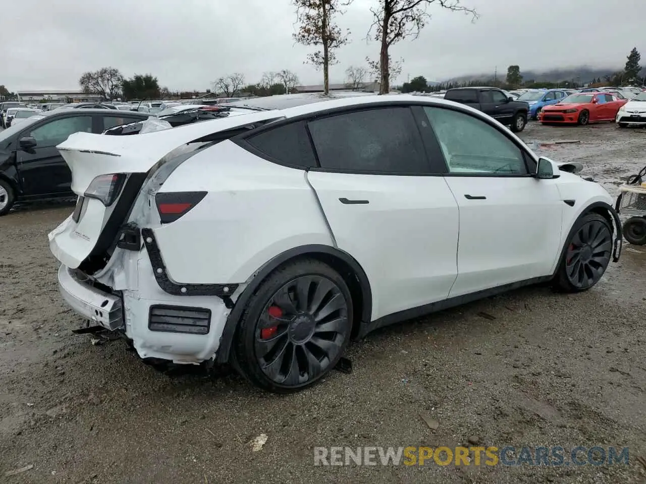 3 Photograph of a damaged car 7SAYGDEF8PF814897 TESLA MODEL Y 2023