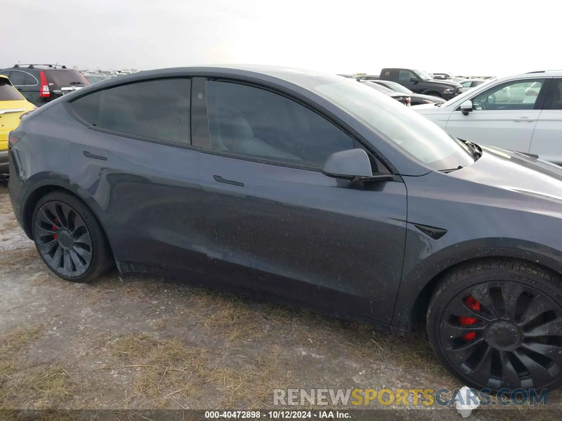 12 Photograph of a damaged car 7SAYGDEFXPF978345 TESLA MODEL Y 2023
