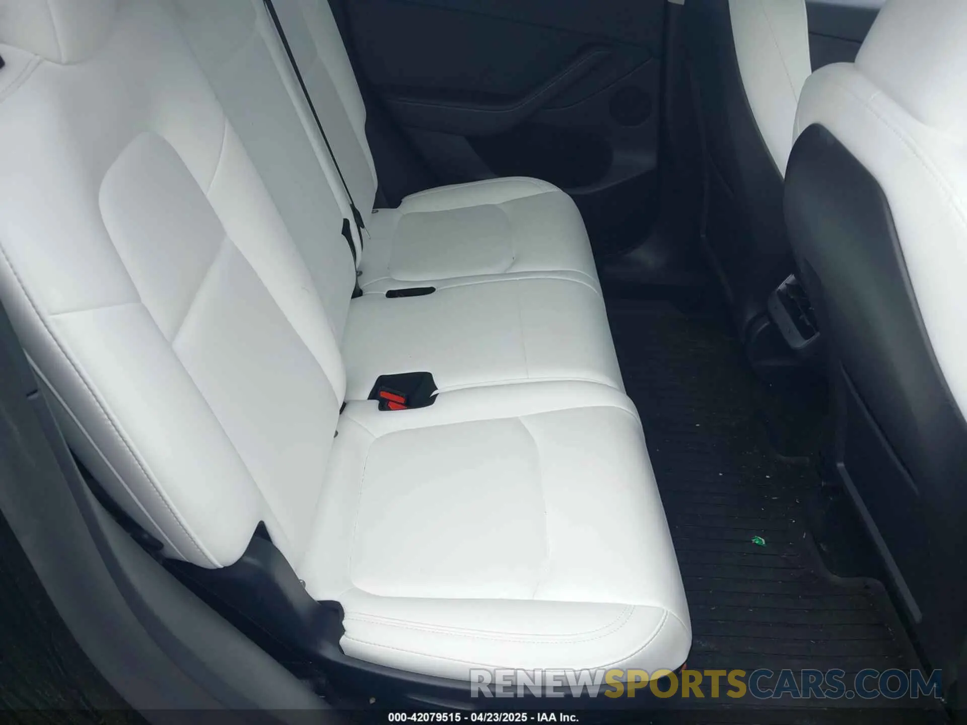 8 Photograph of a damaged car 7SAYGAEE5RF186418 TESLA MODEL Y 2024