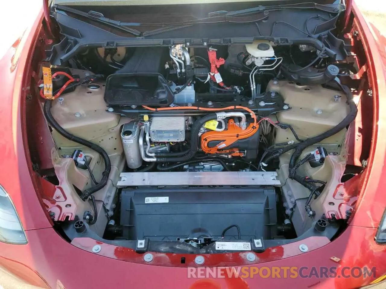 11 Photograph of a damaged car 7SAYGAEE6RF081290 TESLA MODEL Y 2024