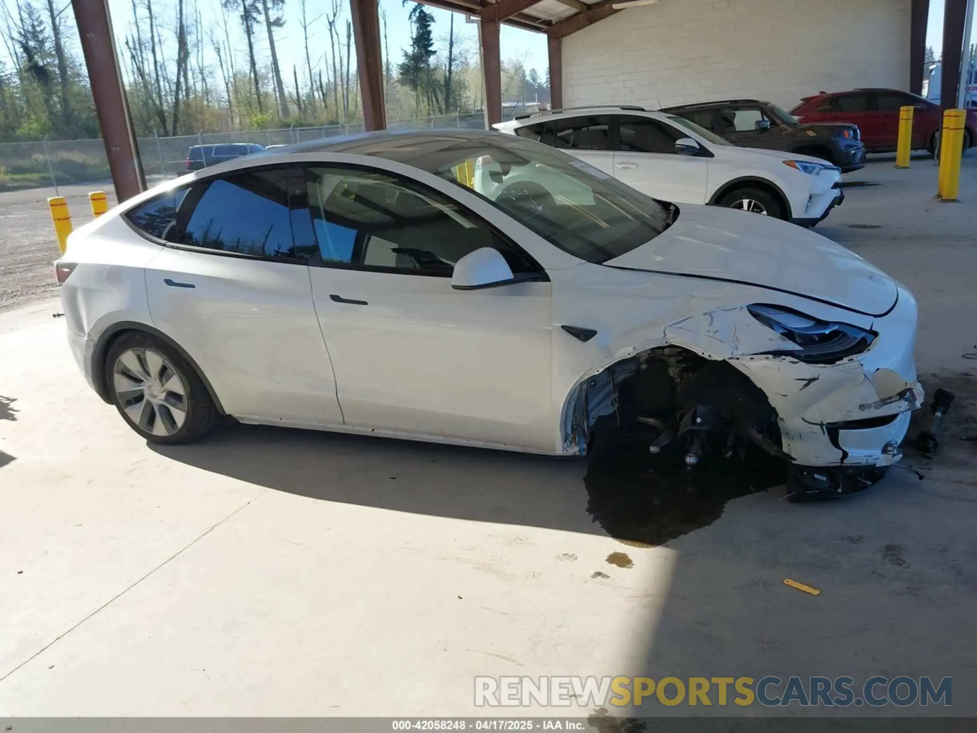 13 Photograph of a damaged car 7SAYGAEEXRF988561 TESLA MODEL Y 2024