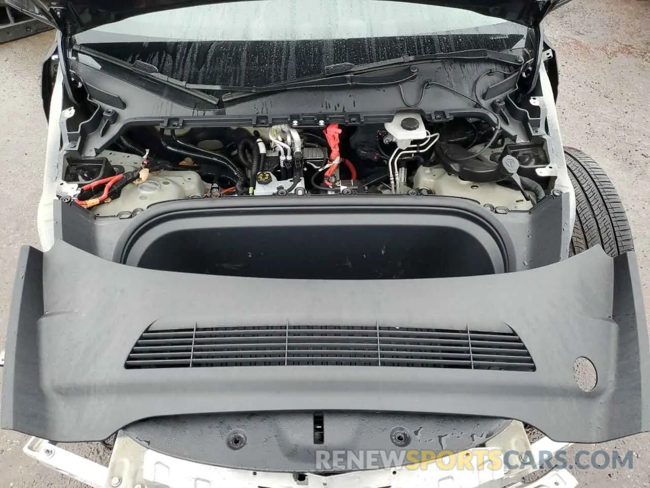 11 Photograph of a damaged car 7SAYGDED0RF165260 TESLA MODEL Y 2024