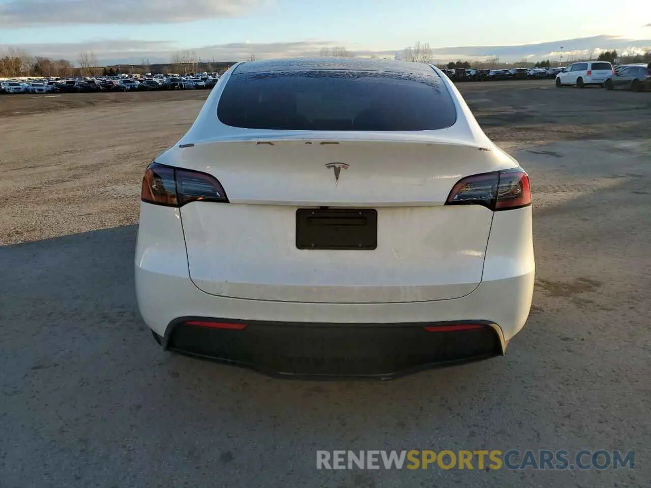 6 Photograph of a damaged car 7SAYGDED1RF125365 TESLA MODEL Y 2024
