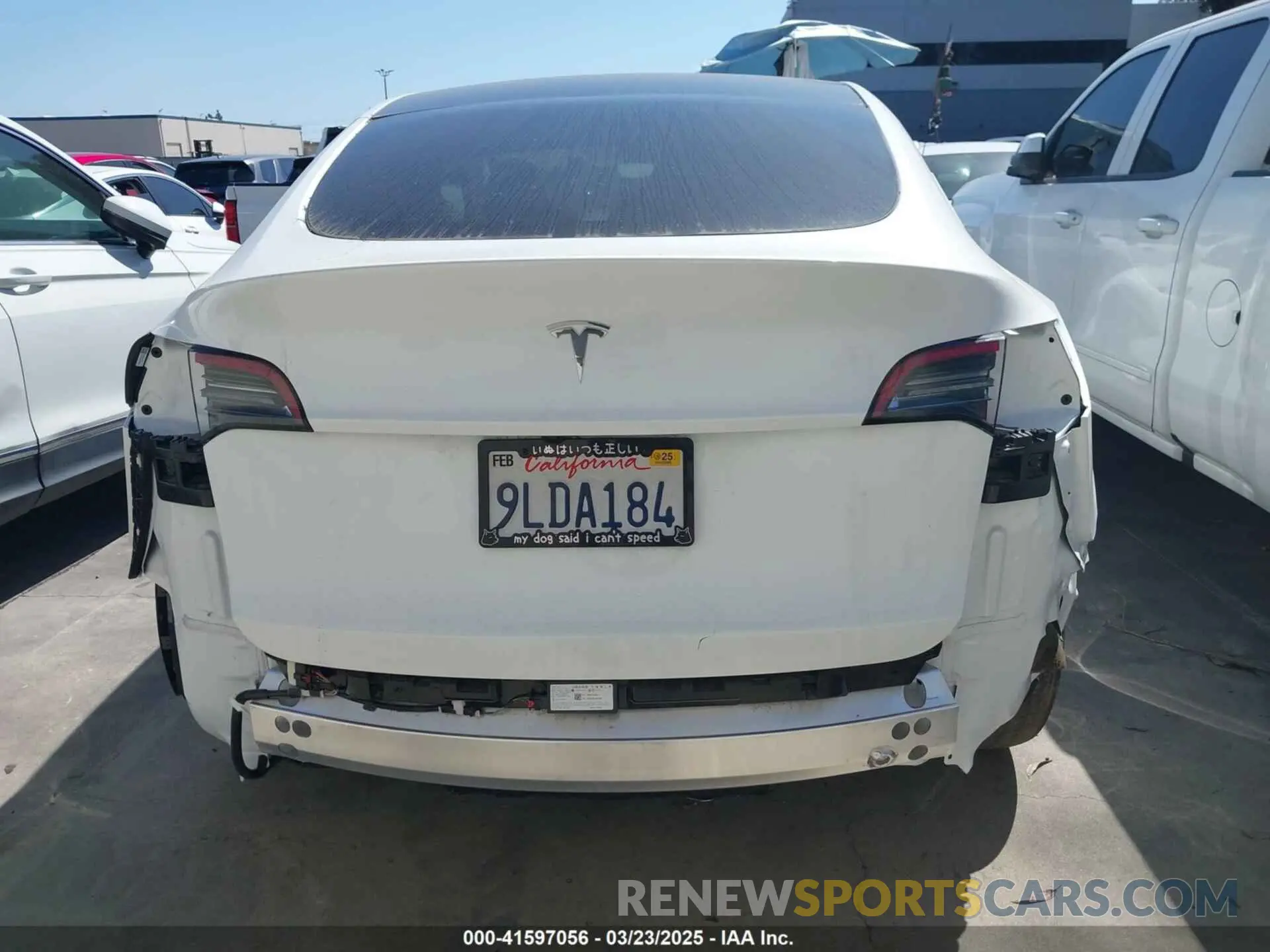 16 Фотография поврежденного автомобиля 7SAYGDED2RF017448 TESLA MODEL Y 2024