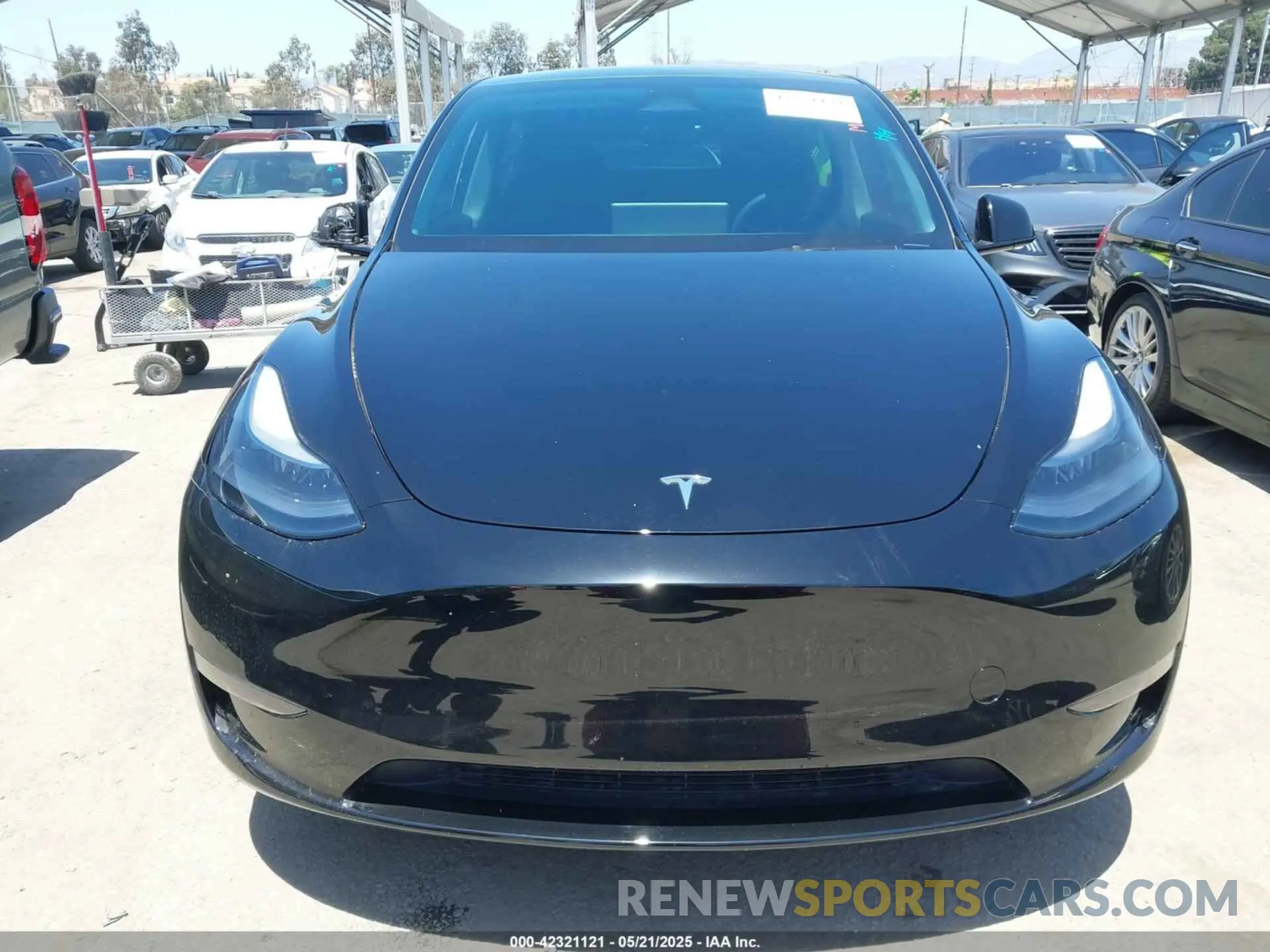 12 Photograph of a damaged car 7SAYGDED2RF111670 TESLA MODEL Y 2024