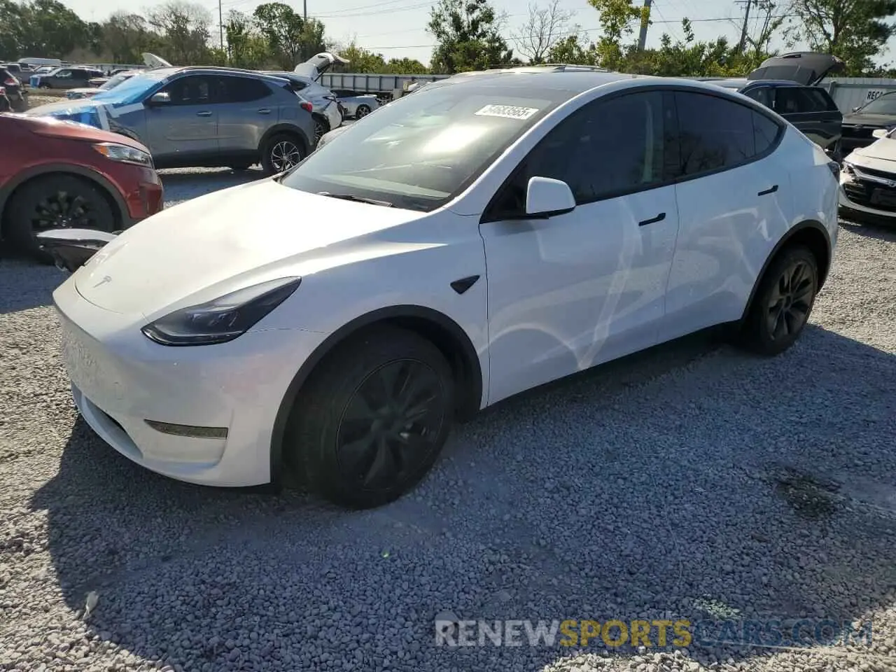 1 Фотография поврежденного автомобиля 7SAYGDED3RF131376 TESLA MODEL Y 2024