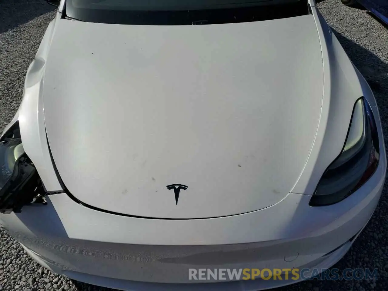 12 Фотография поврежденного автомобиля 7SAYGDED3RF131376 TESLA MODEL Y 2024