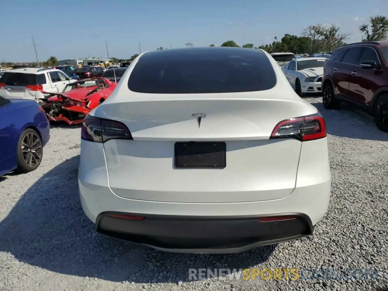 6 Фотография поврежденного автомобиля 7SAYGDED3RF131376 TESLA MODEL Y 2024