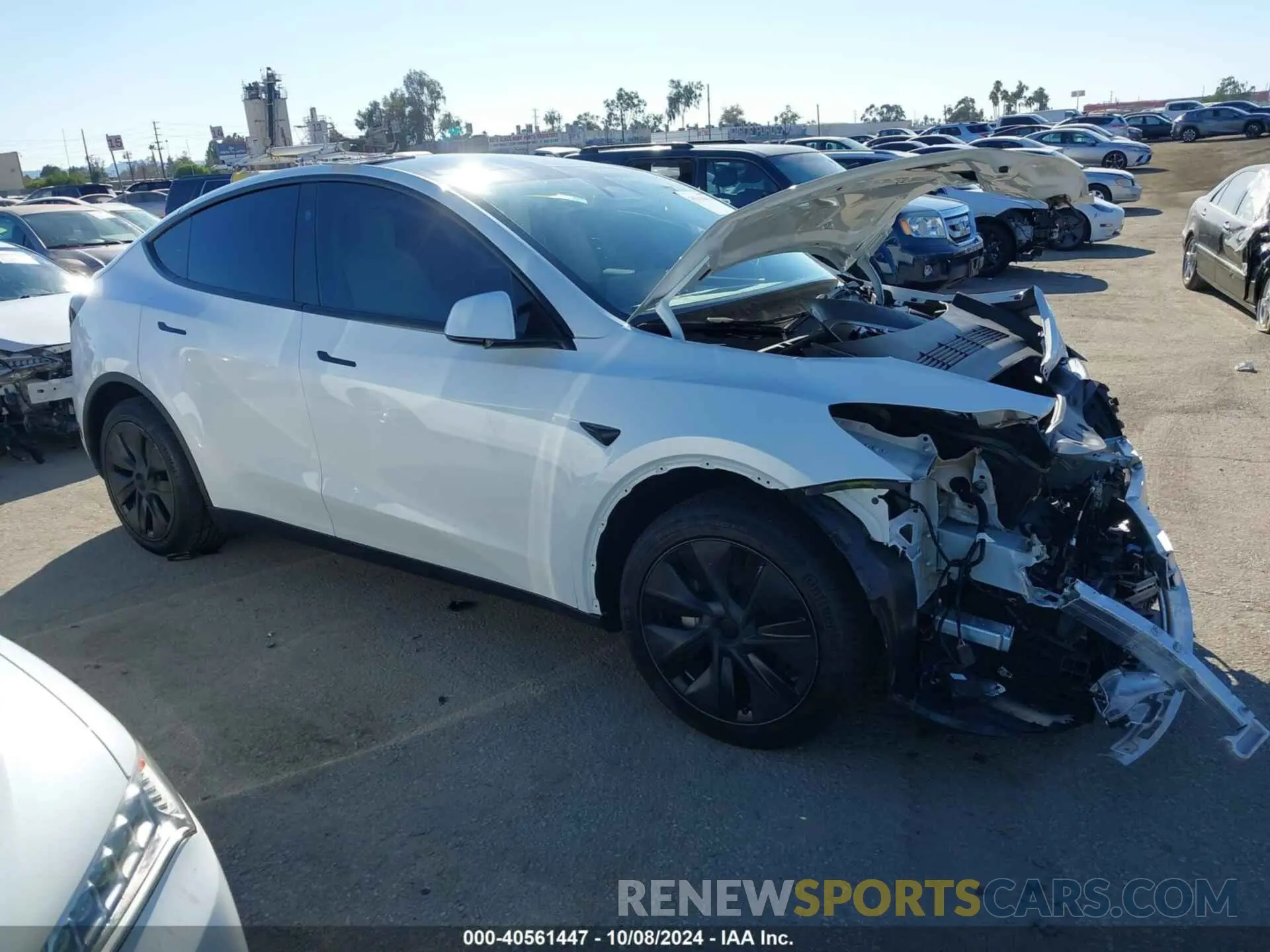 1 Фотография поврежденного автомобиля 7SAYGDED5RF154884 TESLA MODEL Y 2024