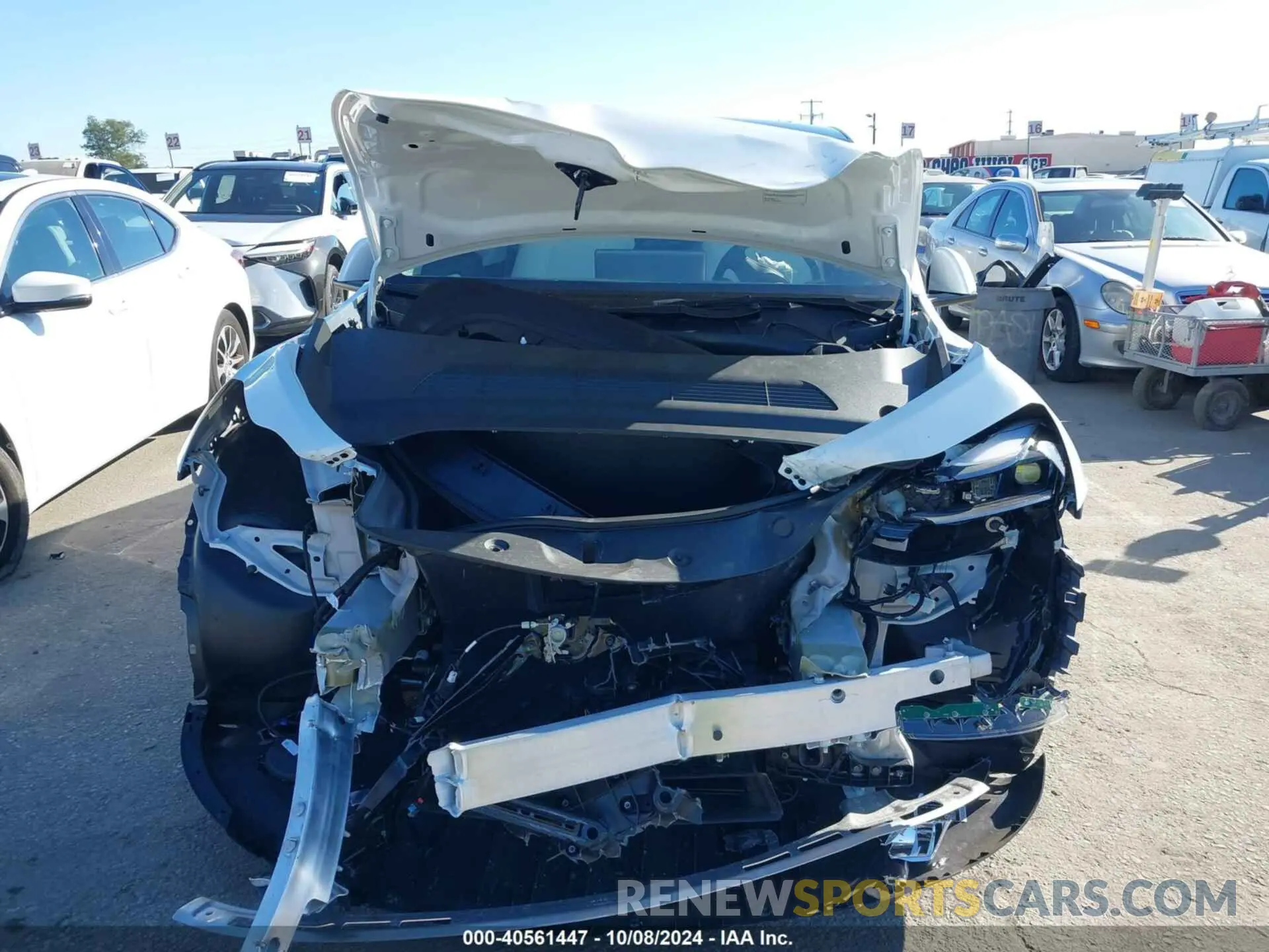 12 Фотография поврежденного автомобиля 7SAYGDED5RF154884 TESLA MODEL Y 2024