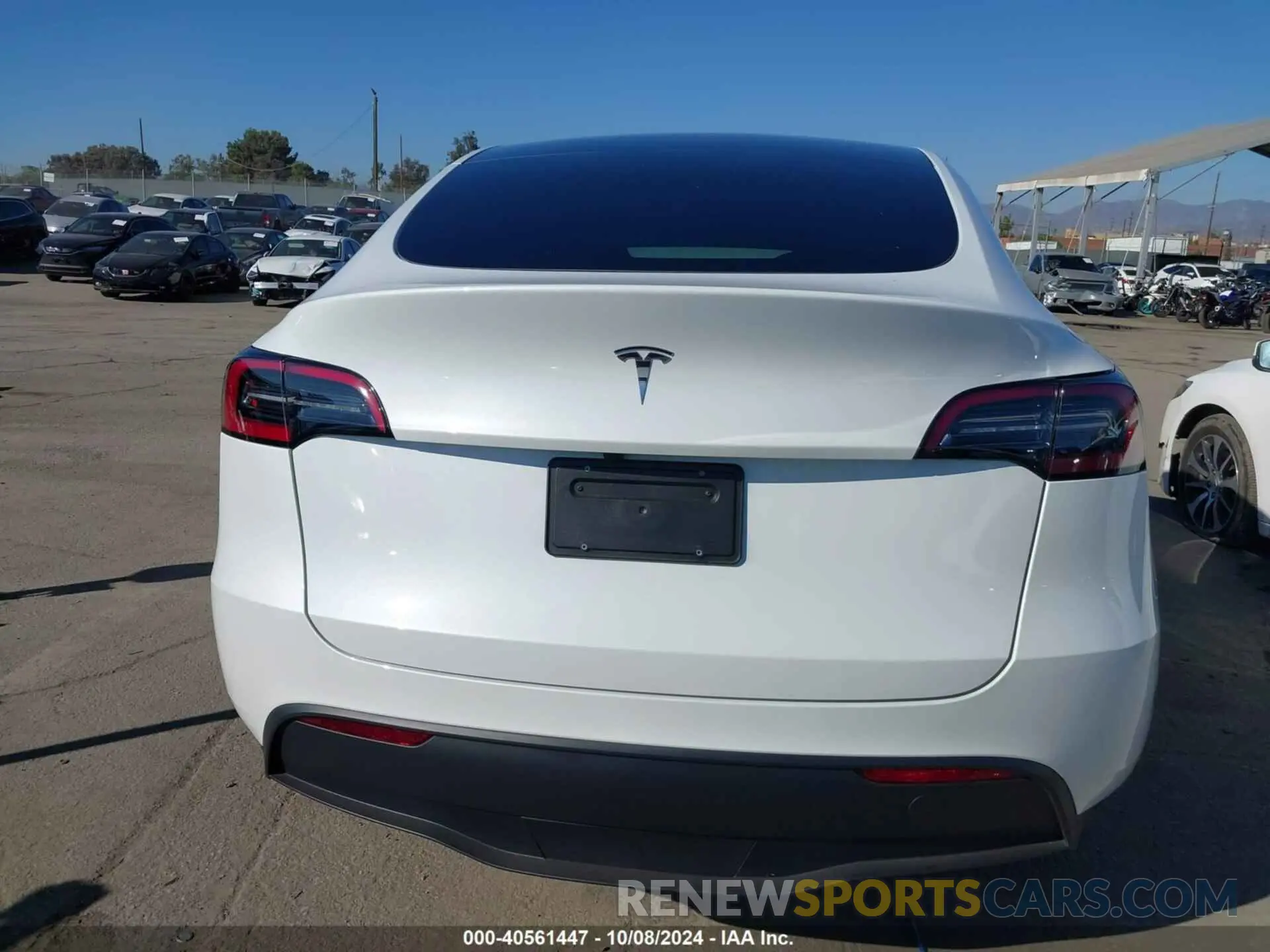 16 Фотография поврежденного автомобиля 7SAYGDED5RF154884 TESLA MODEL Y 2024