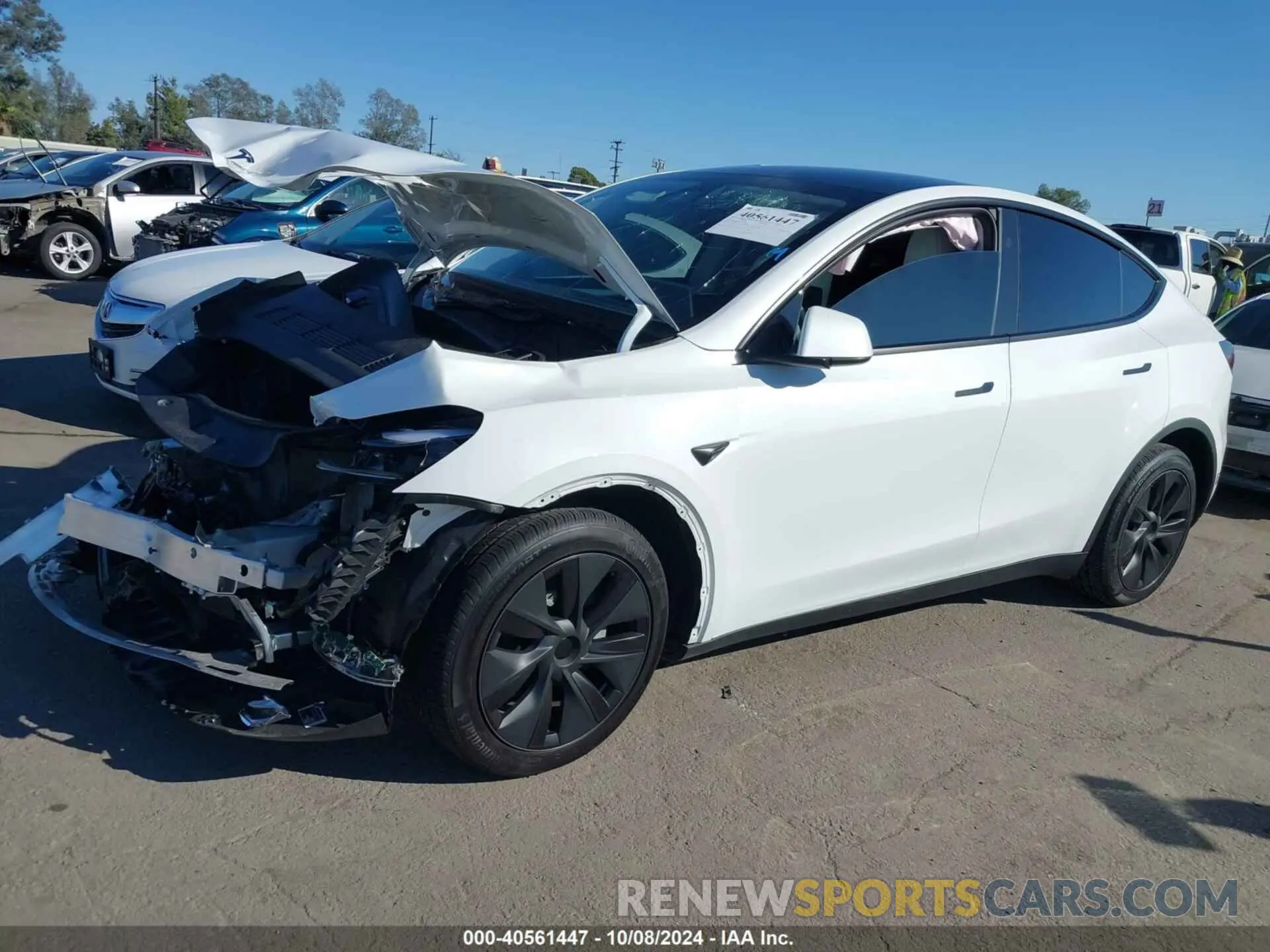 2 Фотография поврежденного автомобиля 7SAYGDED5RF154884 TESLA MODEL Y 2024