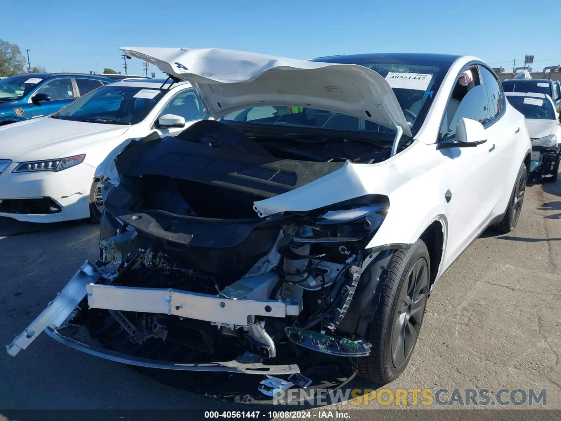 6 Фотография поврежденного автомобиля 7SAYGDED5RF154884 TESLA MODEL Y 2024