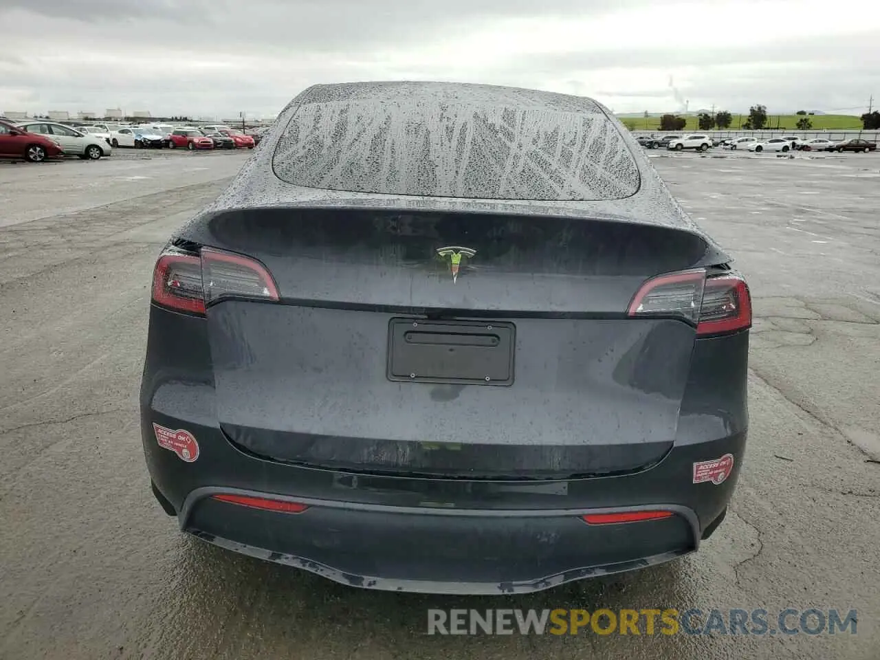 6 Photograph of a damaged car 7SAYGDED6RF131193 TESLA MODEL Y 2024