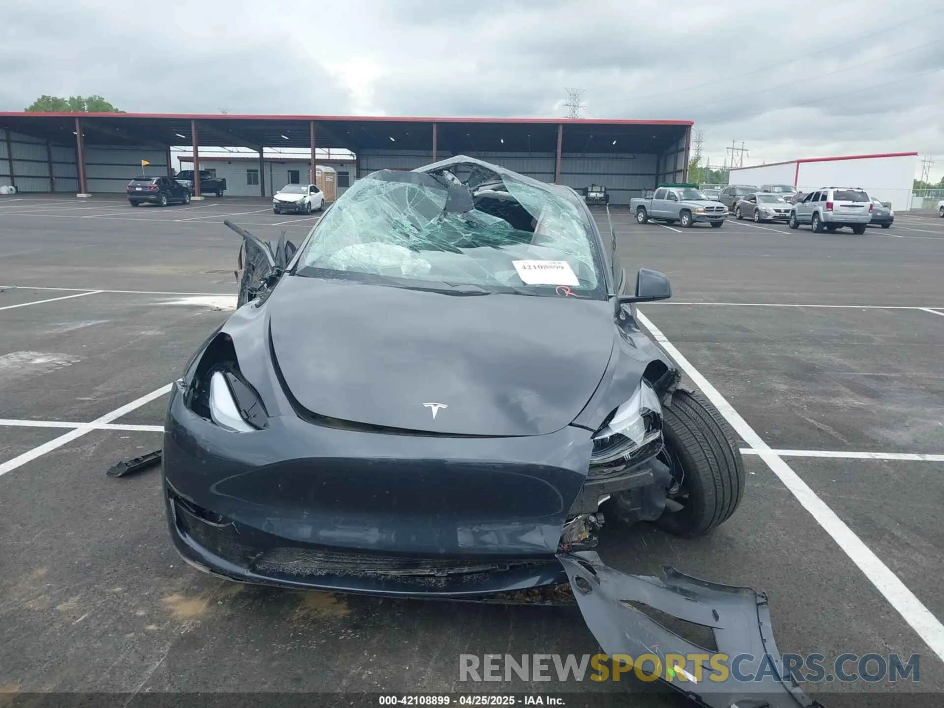 12 Фотография поврежденного автомобиля 7SAYGDED6RF151881 TESLA MODEL Y 2024
