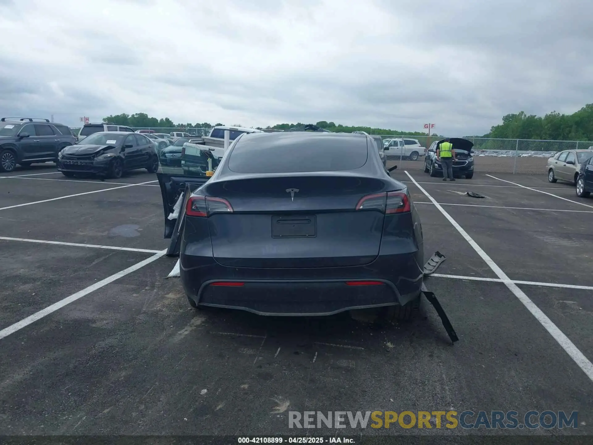 16 Фотография поврежденного автомобиля 7SAYGDED6RF151881 TESLA MODEL Y 2024