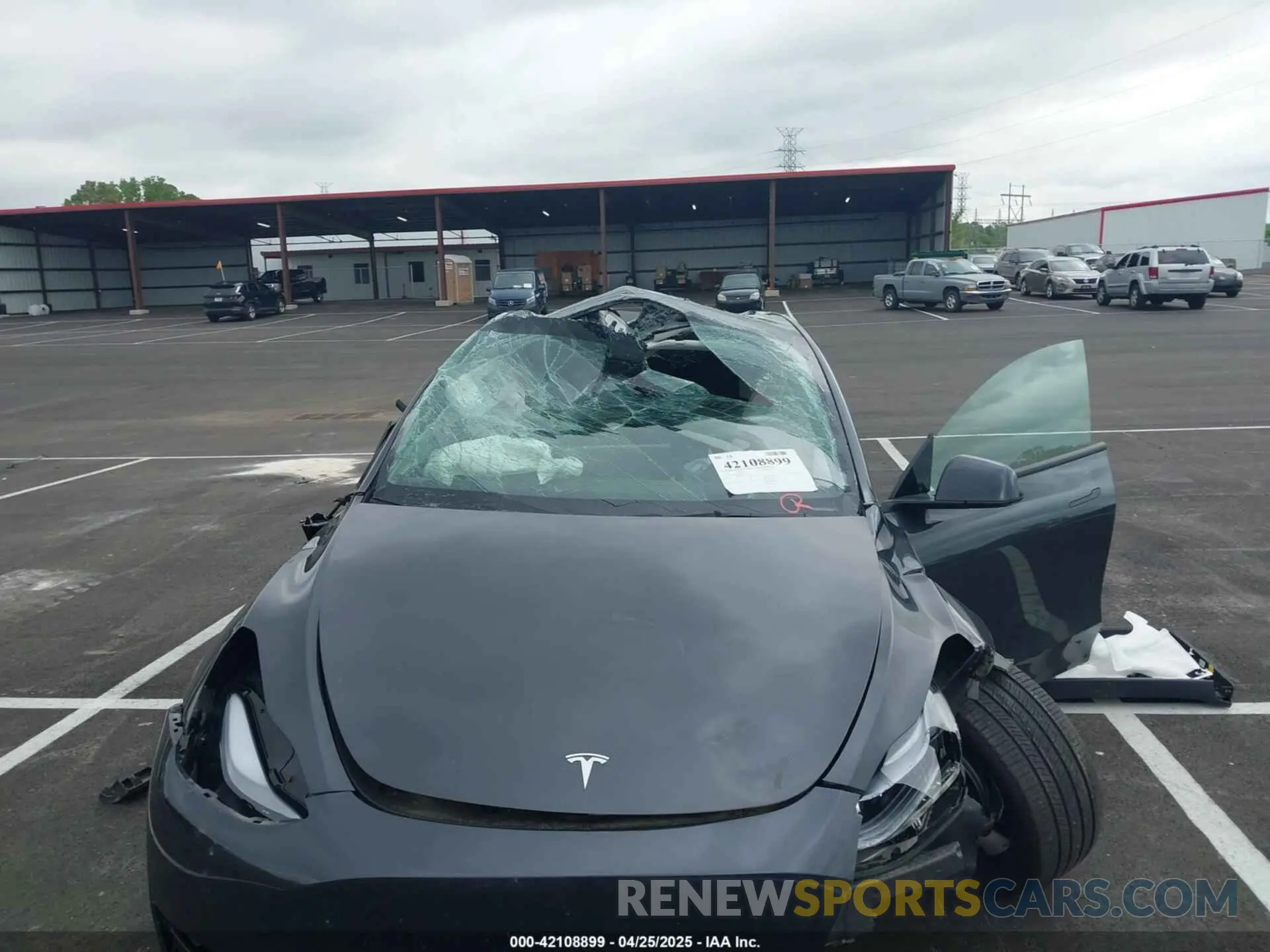 6 Фотография поврежденного автомобиля 7SAYGDED6RF151881 TESLA MODEL Y 2024
